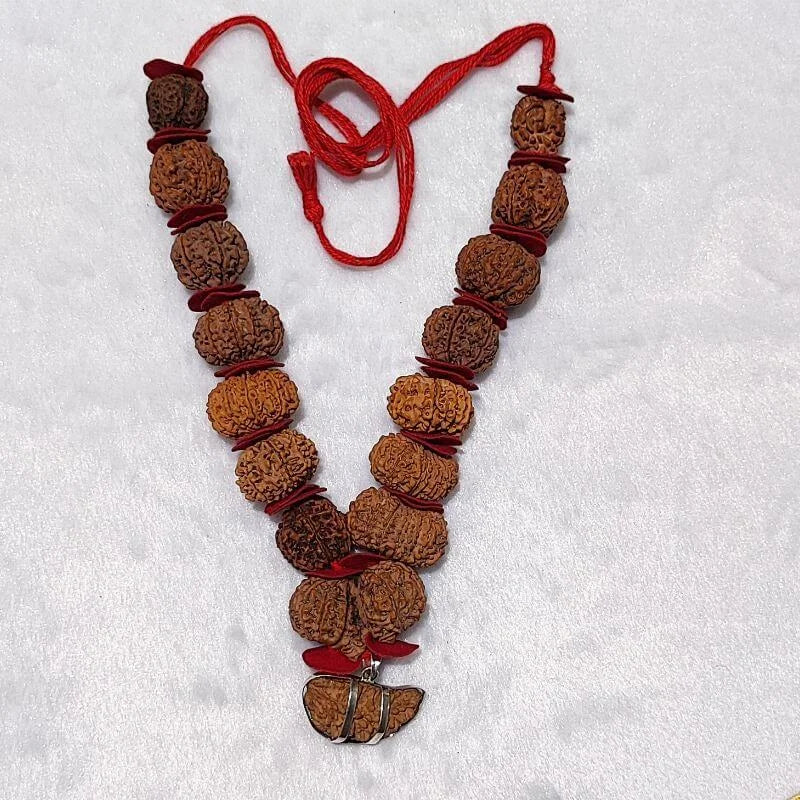 1-14 Mukhi Rudraksha Mala Nepali (Siddha Mala) - Image 6