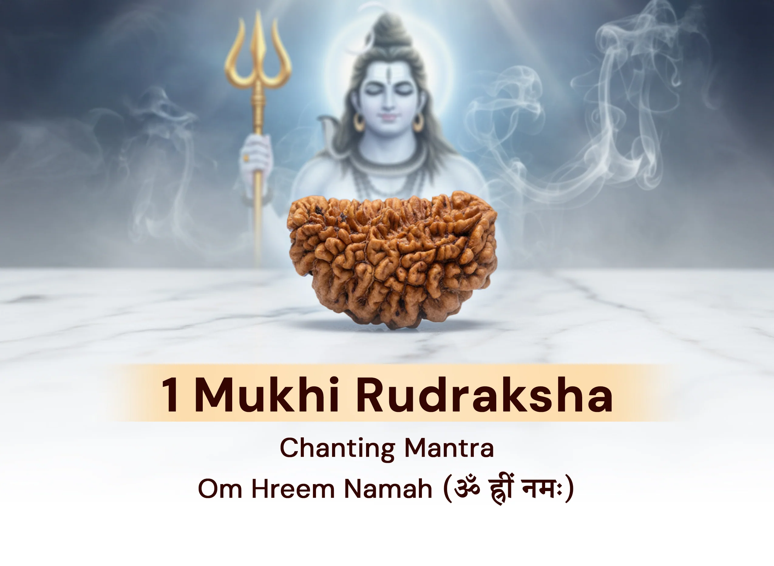 1 Mukhi (Kaju) Rudraksha - Image 5