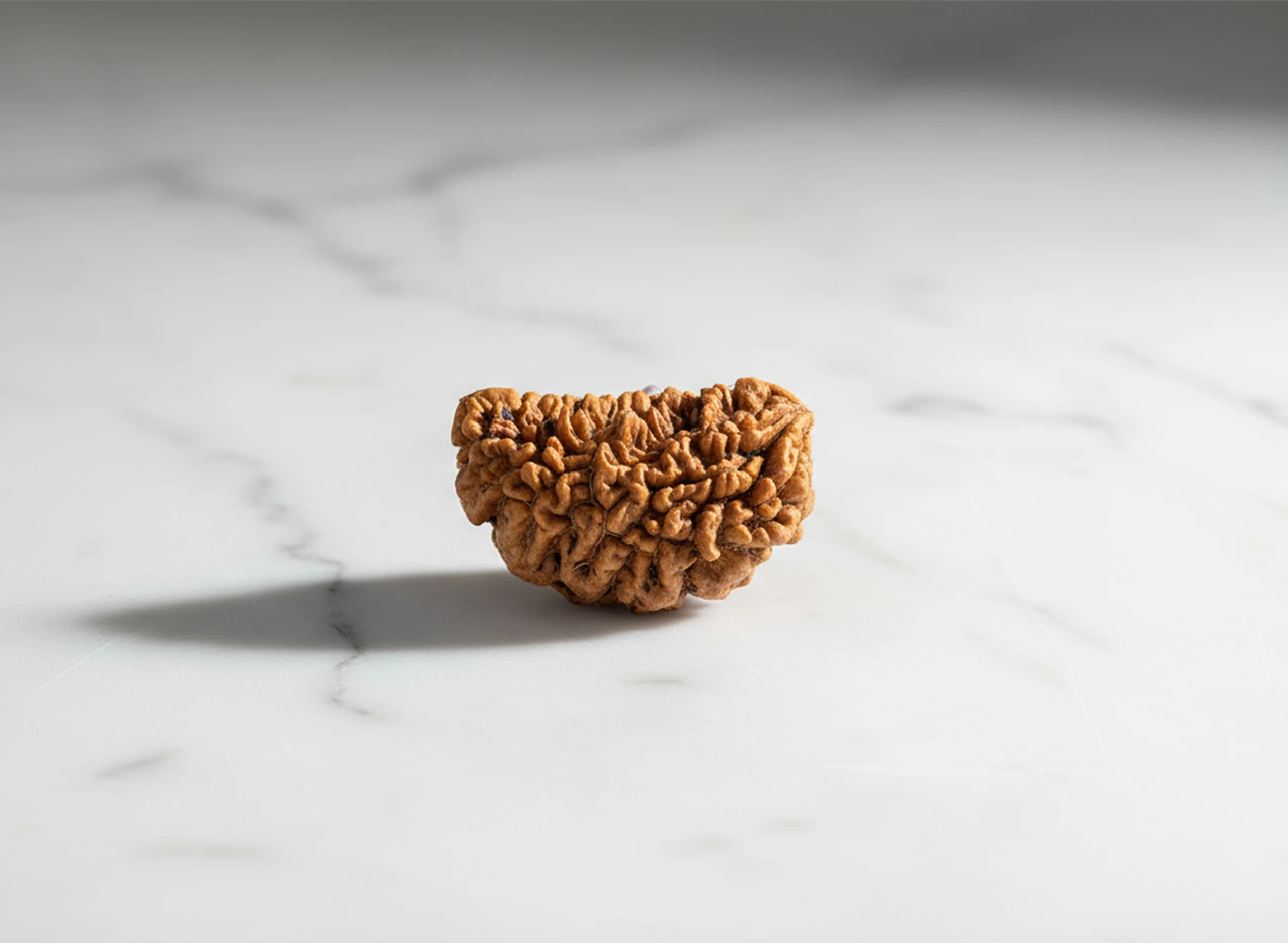 1 Mukhi (Kaju) Rudraksha - Image 7