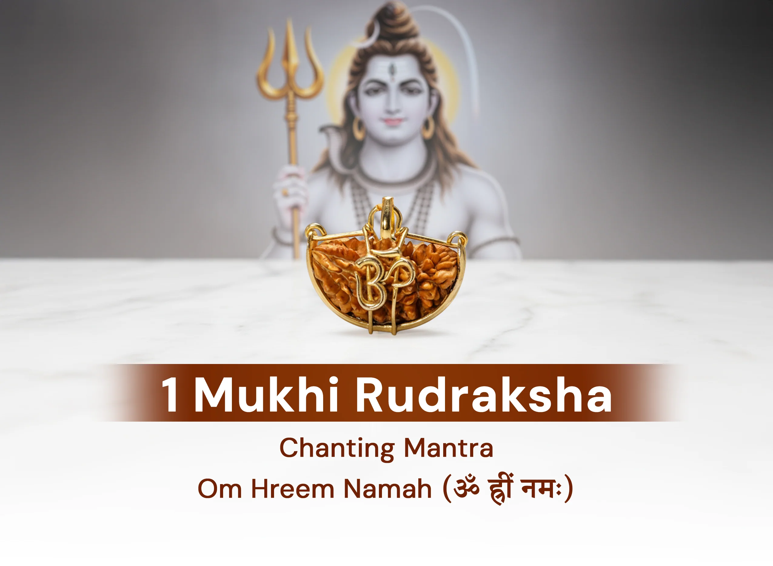 1 Mukhi (OM) Rudraksha - Image 4