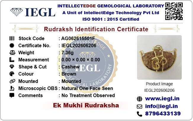 1 Mukhi (OM) Rudraksha - Image 9