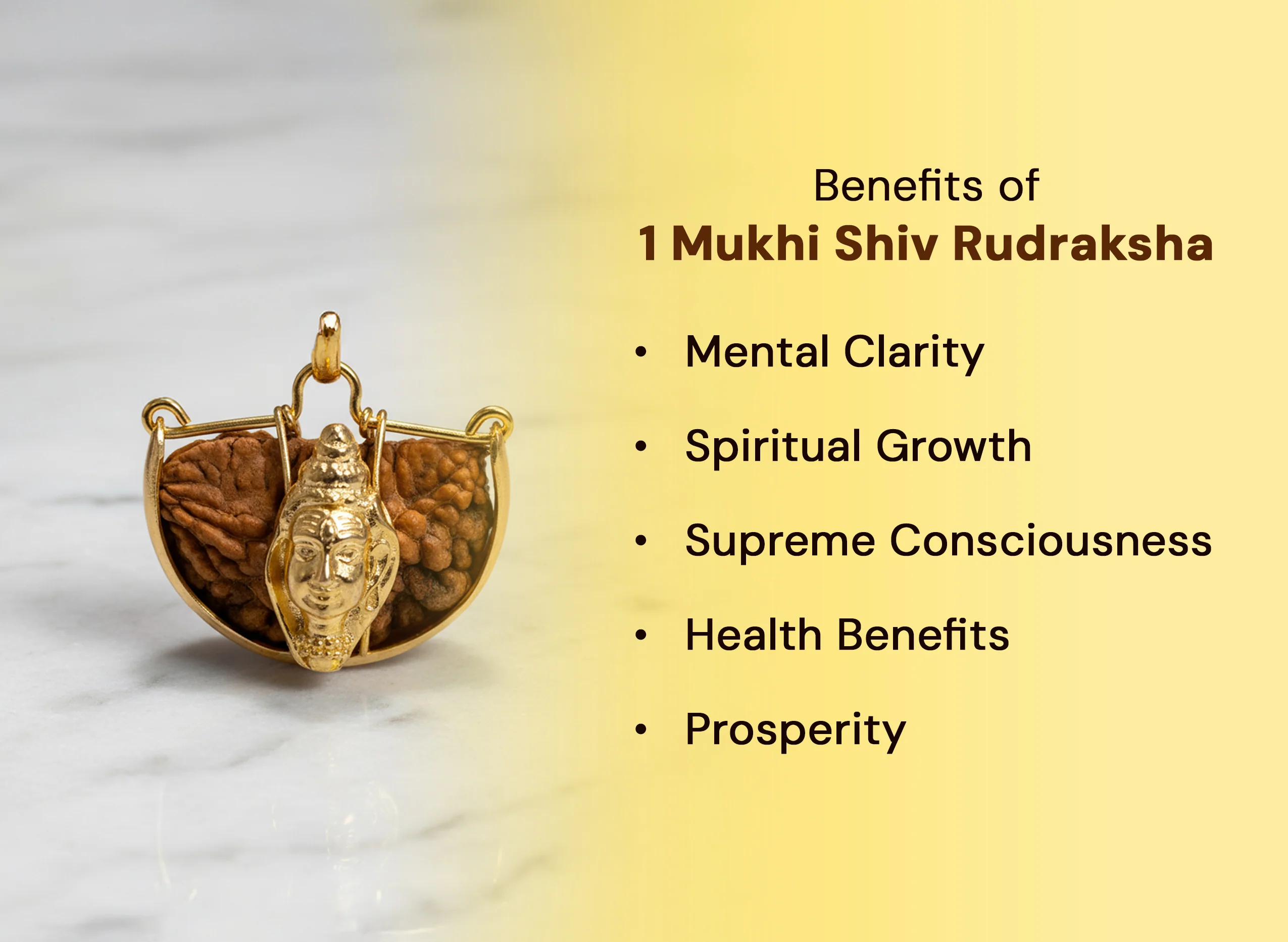 1 Mukhi (Shiv) Rudraksha - Image 2