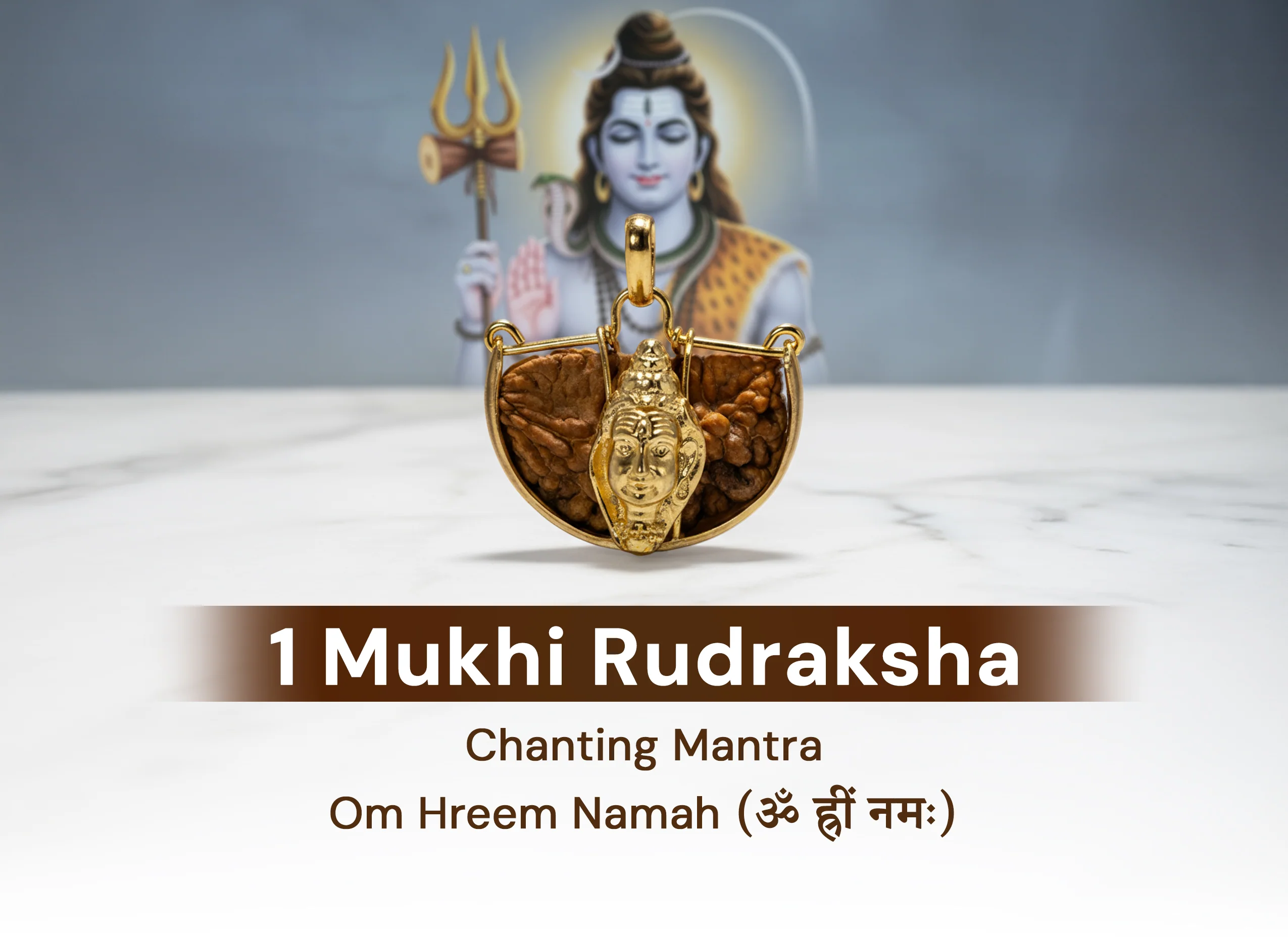 1 Mukhi (Shiv) Rudraksha - Image 4