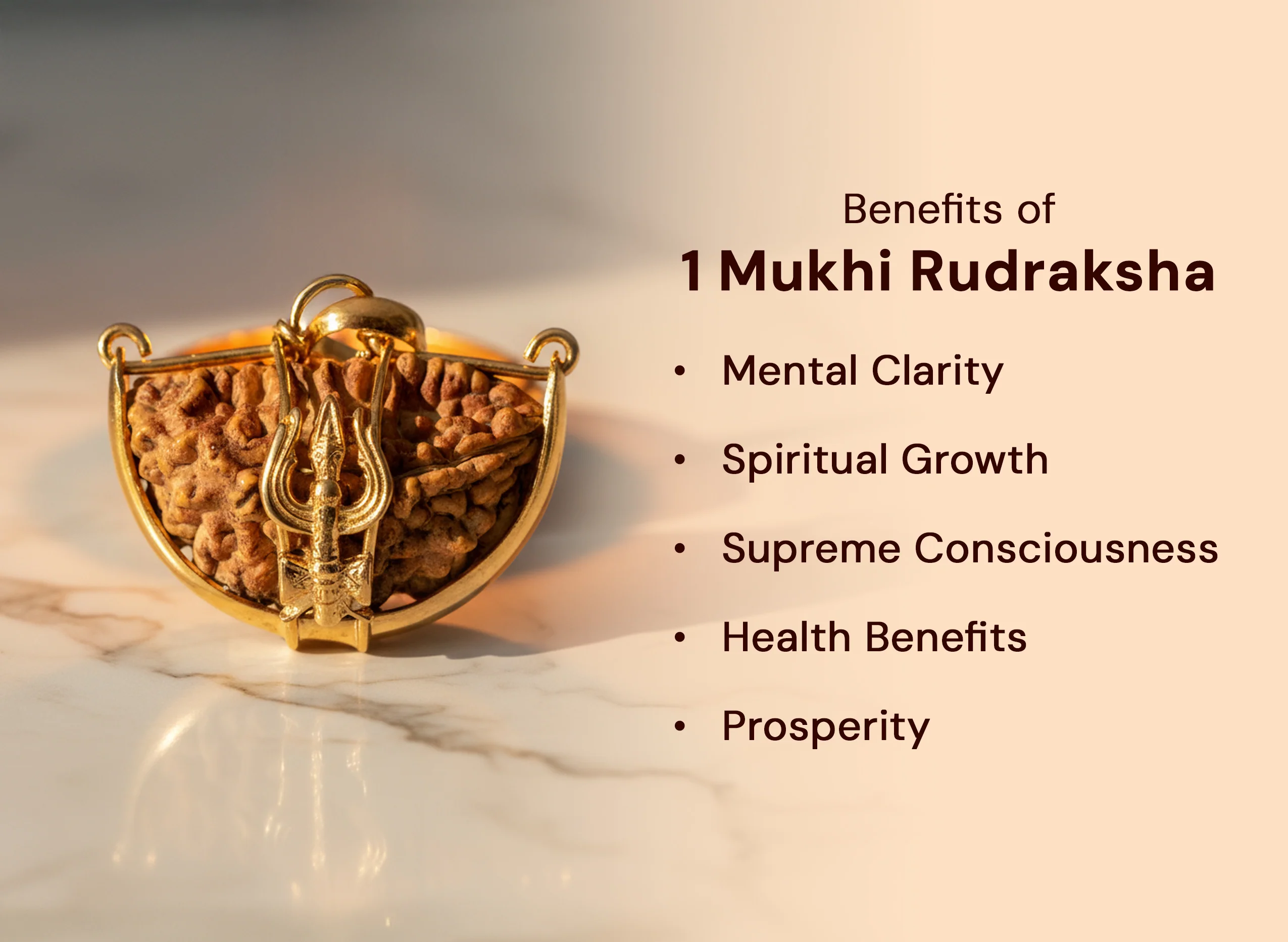 1 Mukhi Rudraksha (Trishul) - Image 2
