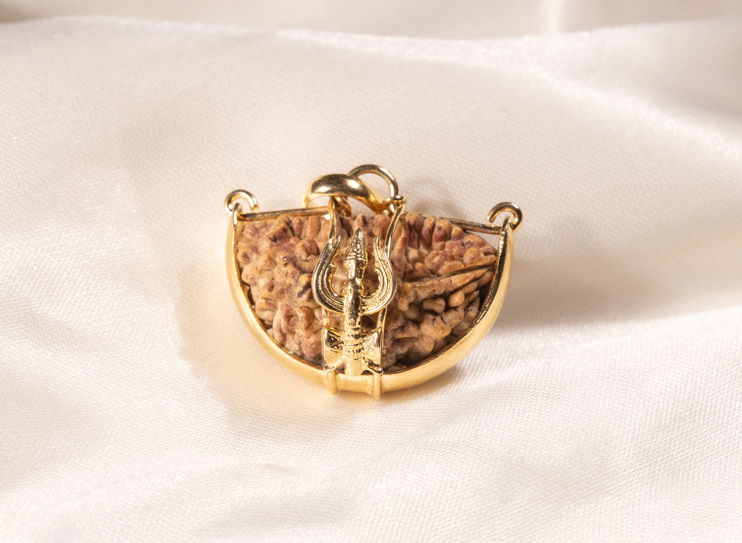 1 Mukhi Rudraksha (Trishul) - Image 5