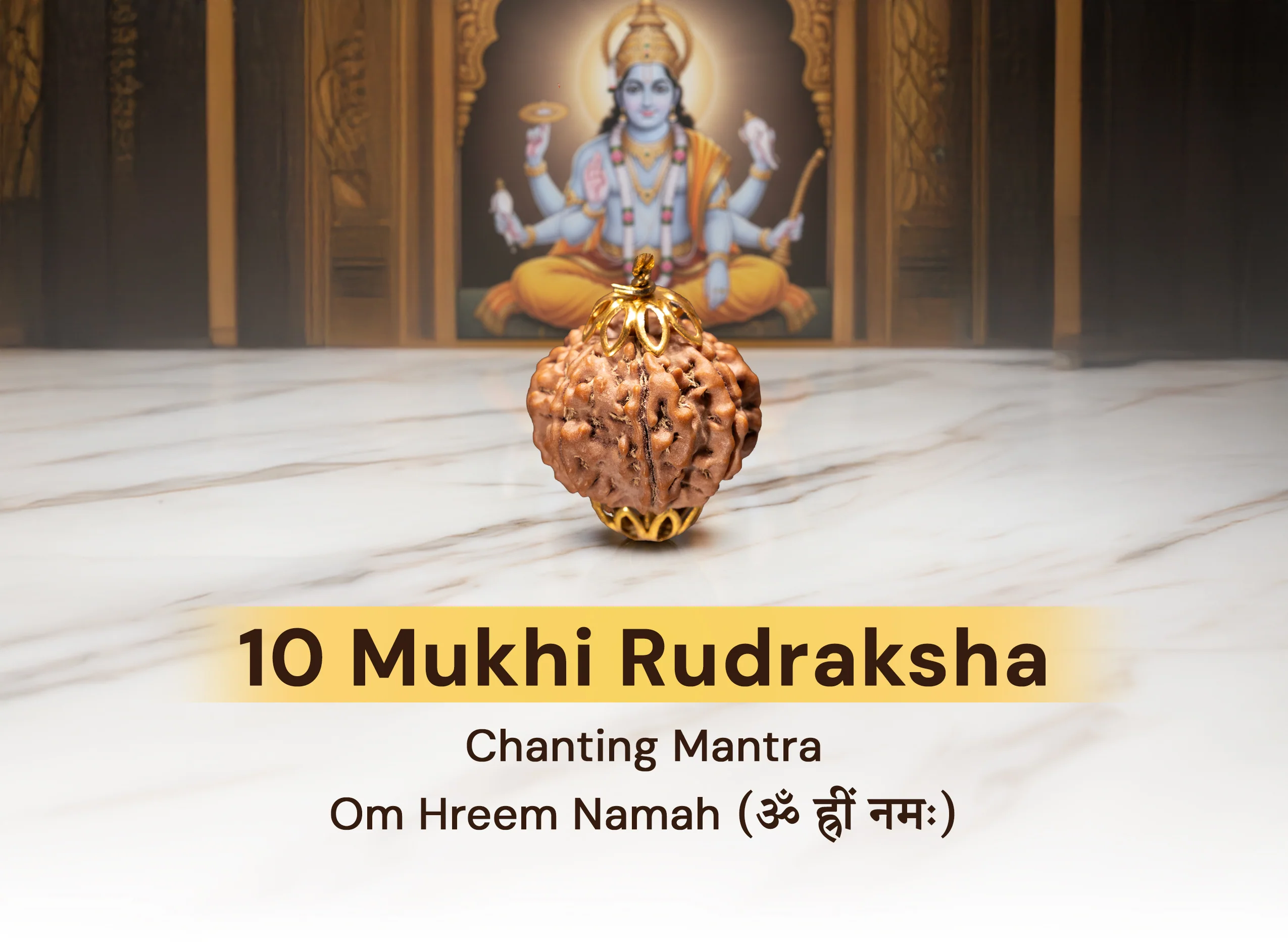 10 Mukhi Rudraksha (Nepali) - Image 3