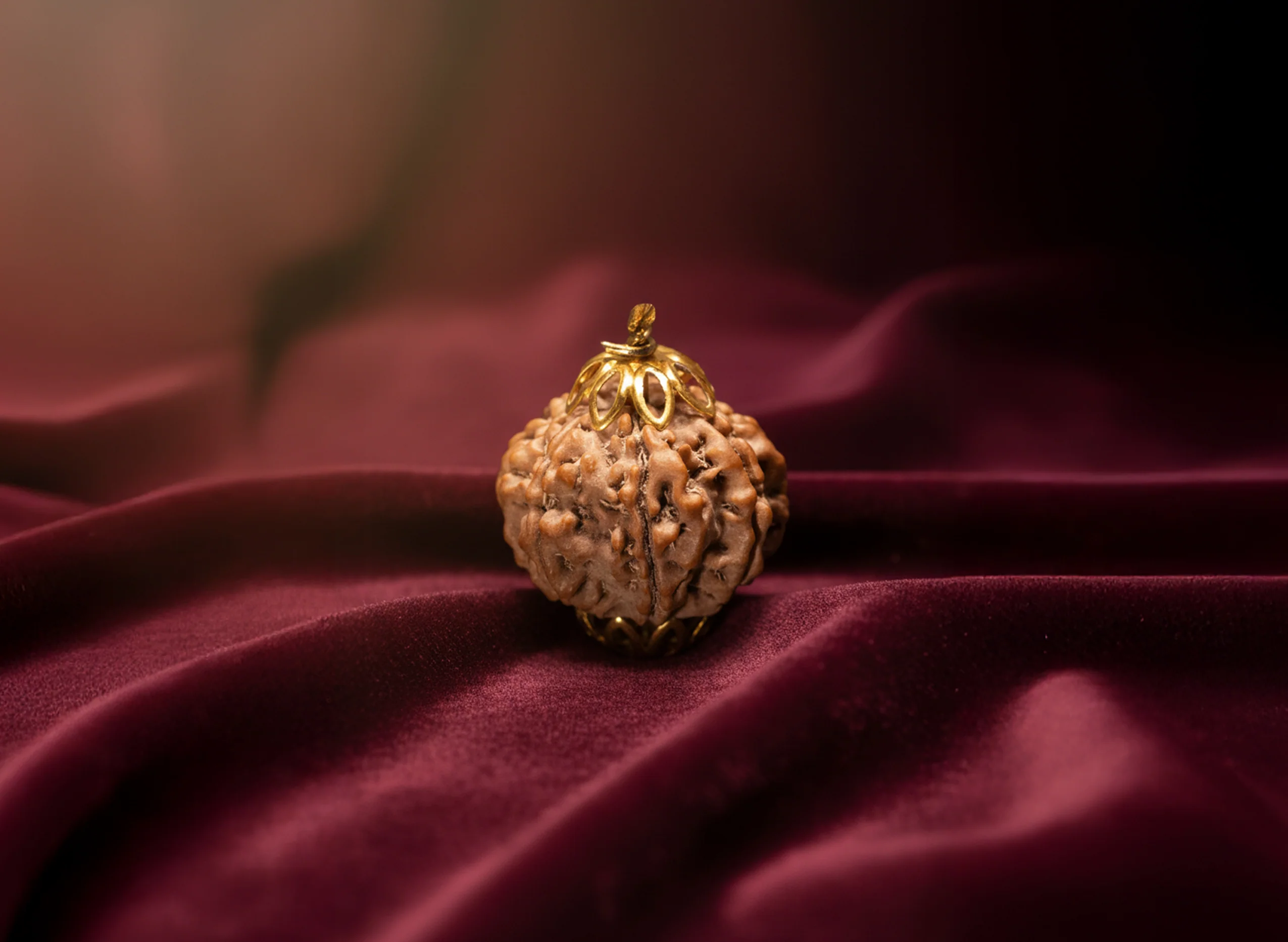 10 Mukhi Rudraksha (Nepali) - Image 4