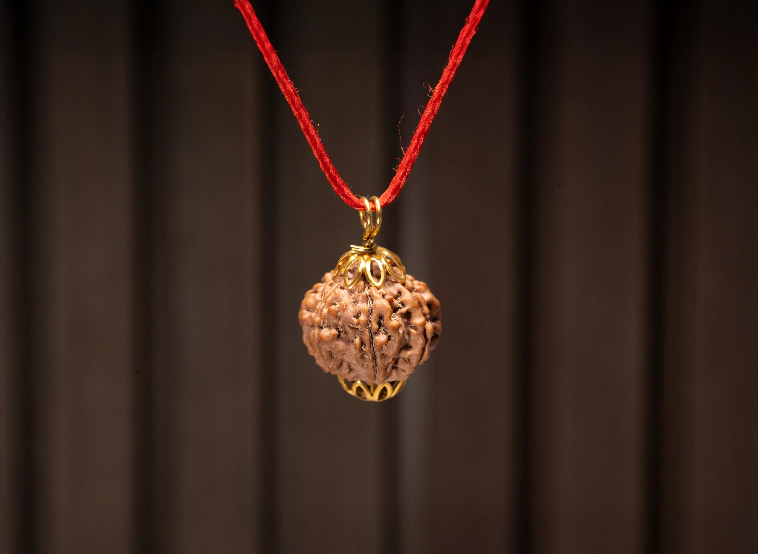 10 Mukhi Rudraksha (Nepali) - Image 8