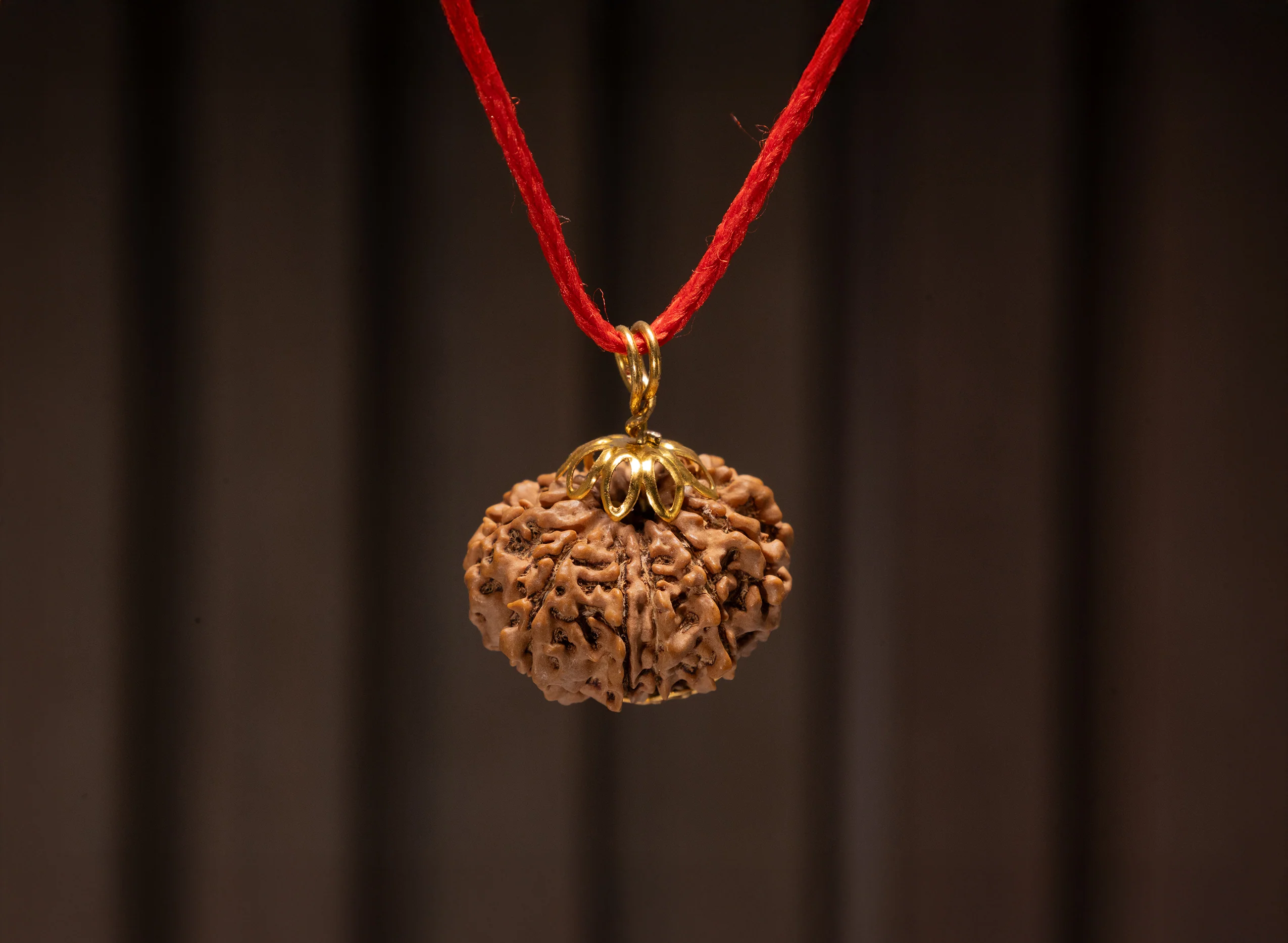 11 Mukhi Rudraksha (Nepali) - Image 8