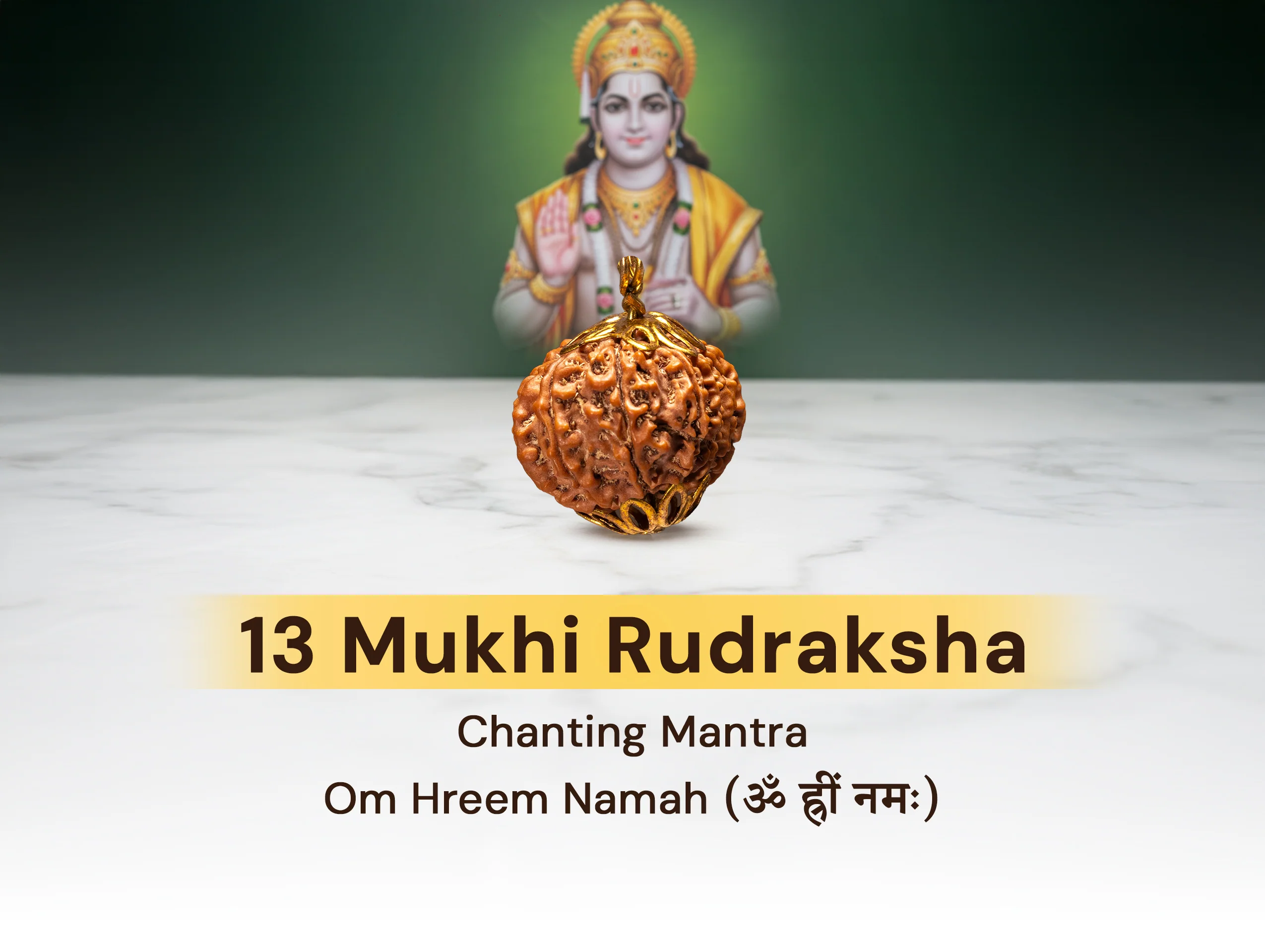 13 Mukhi Rudraksha (Nepali) - Image 3