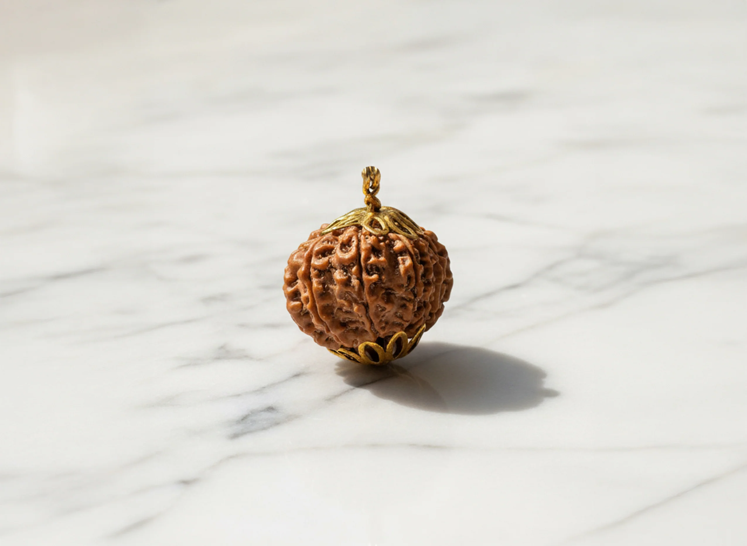 13 Mukhi Rudraksha (Nepali) - Image 6