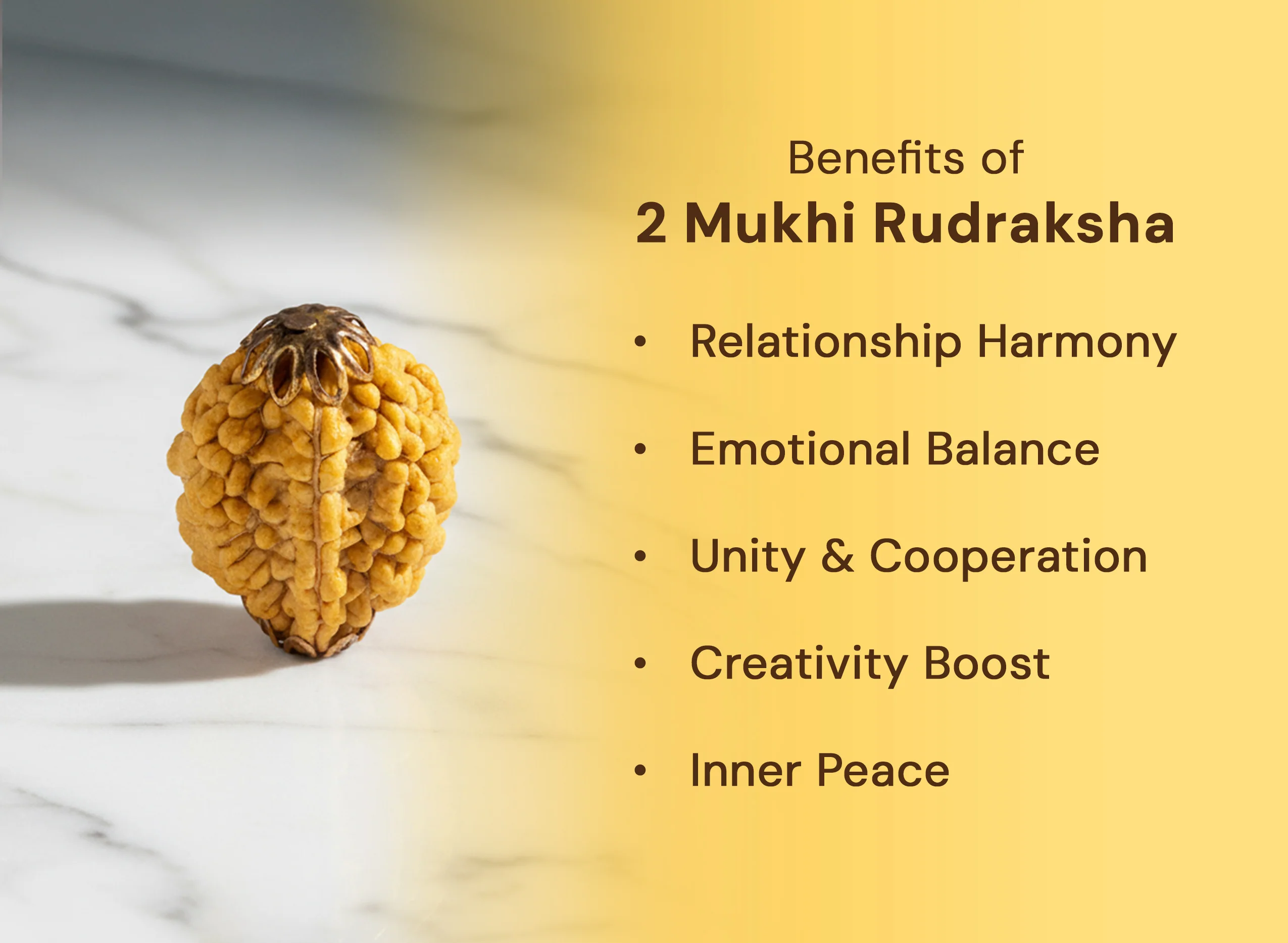 2 Mukhi Nepali Rudraksha - Image 4