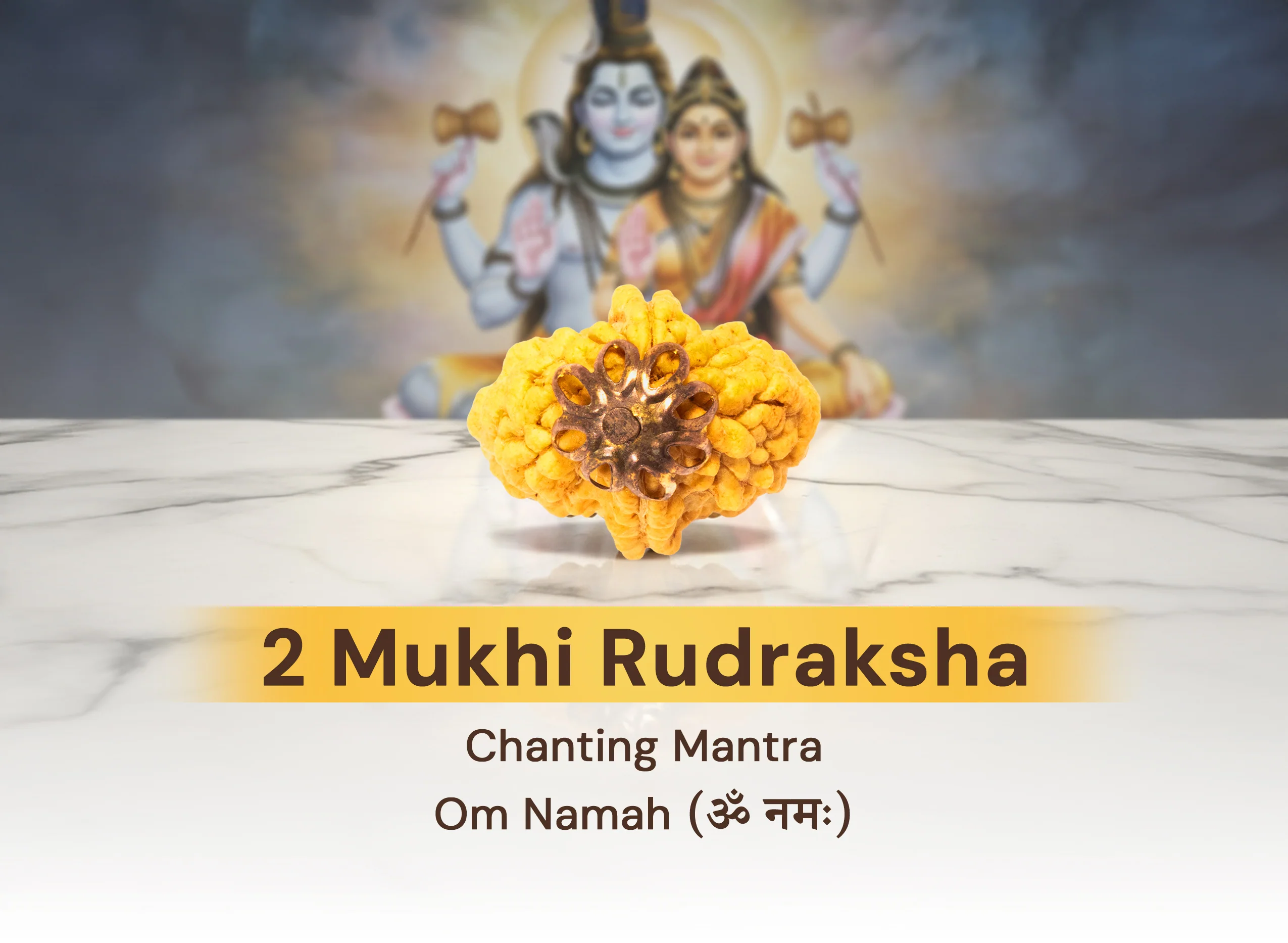 2 Mukhi Nepali Rudraksha - Image 5