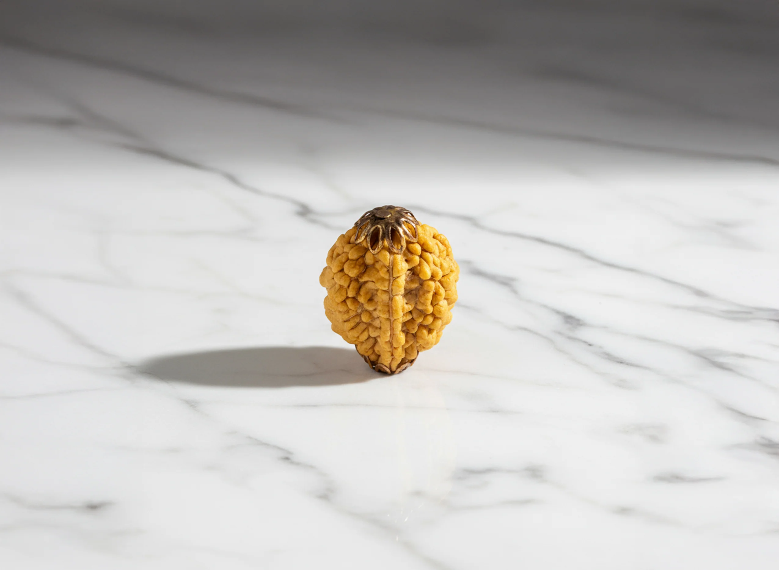 2 Mukhi Nepali Rudraksha - Image 6