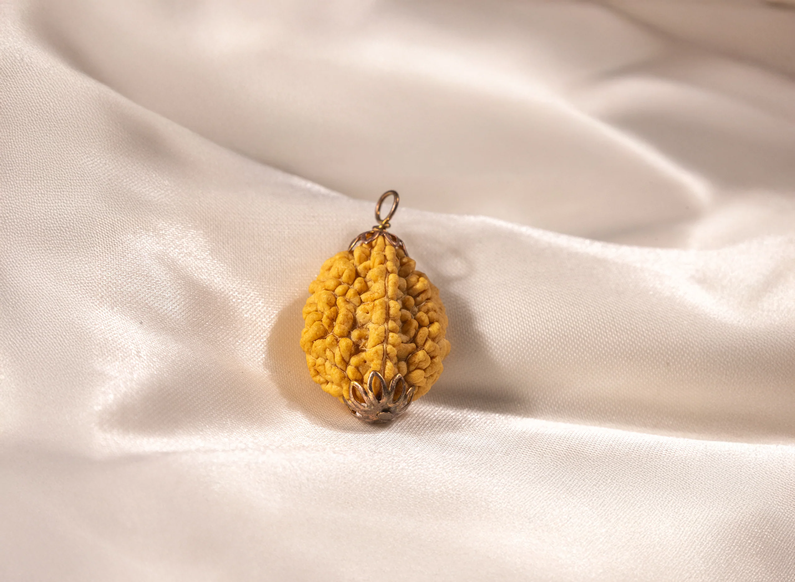 2 Mukhi Nepali Rudraksha - Image 7