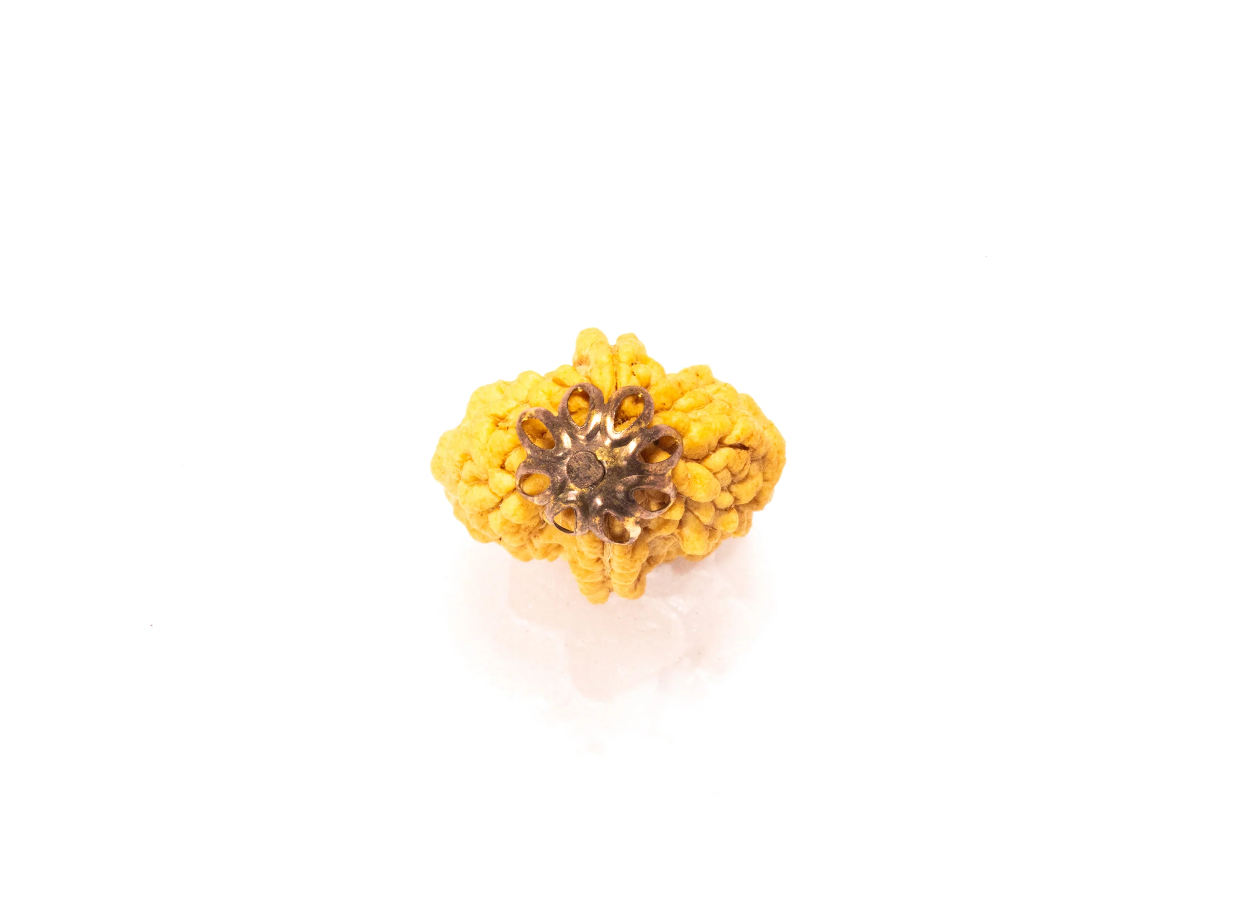 2 Mukhi Nepali Rudraksha - Image 8
