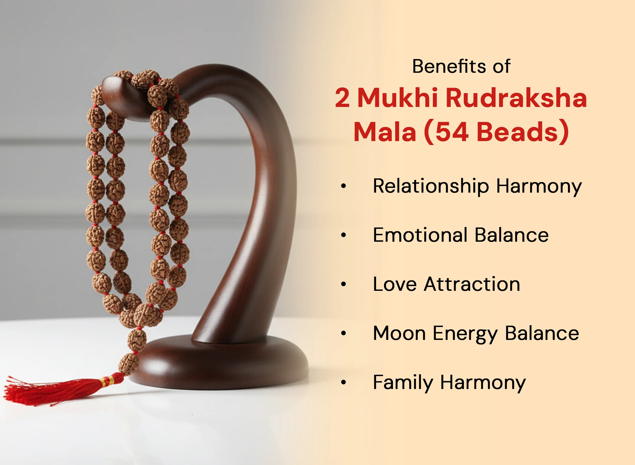 2 Mukhi Rudraksha Mala (54 Beads) - Image 2