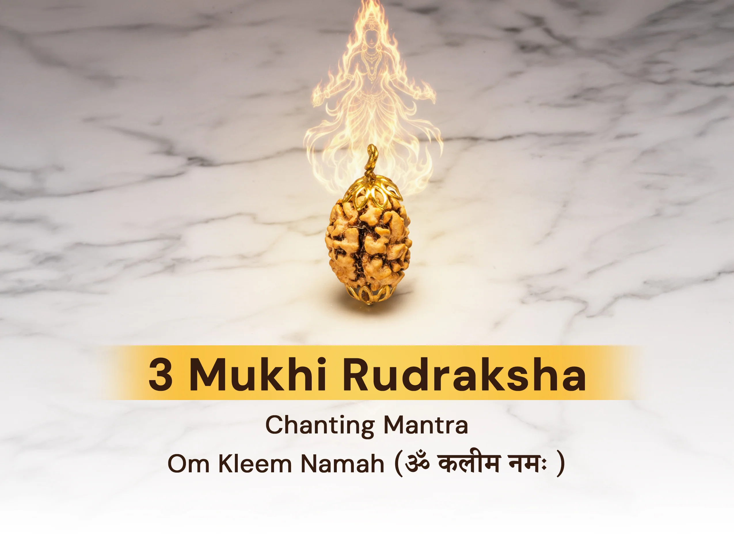 3 Mukhi Indian Rudraksha - Image 3