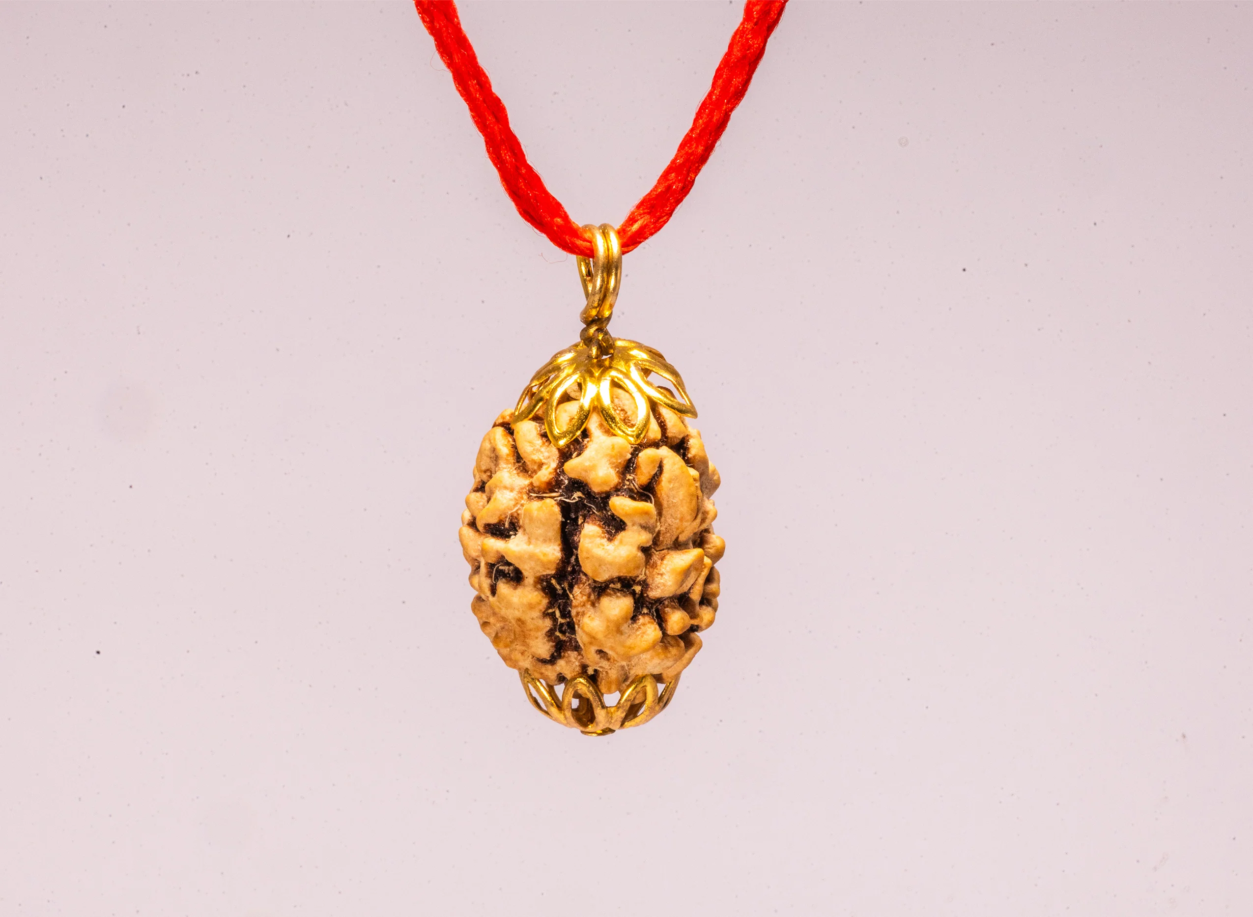3 Mukhi Indian Rudraksha - Image 4