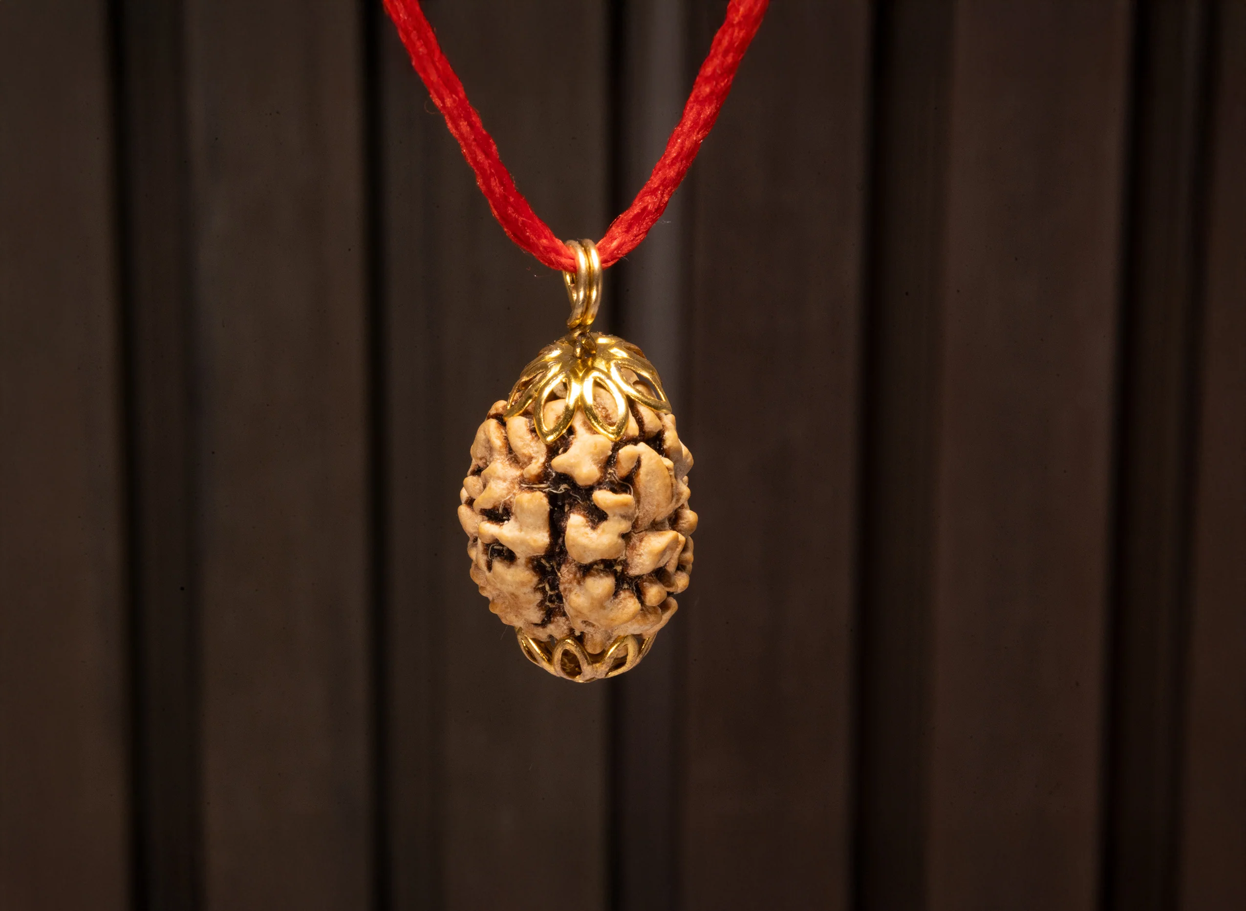 3 Mukhi Indian Rudraksha - Image 5