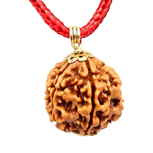 3 Mukhi Nepali Rudraksha - Image 6