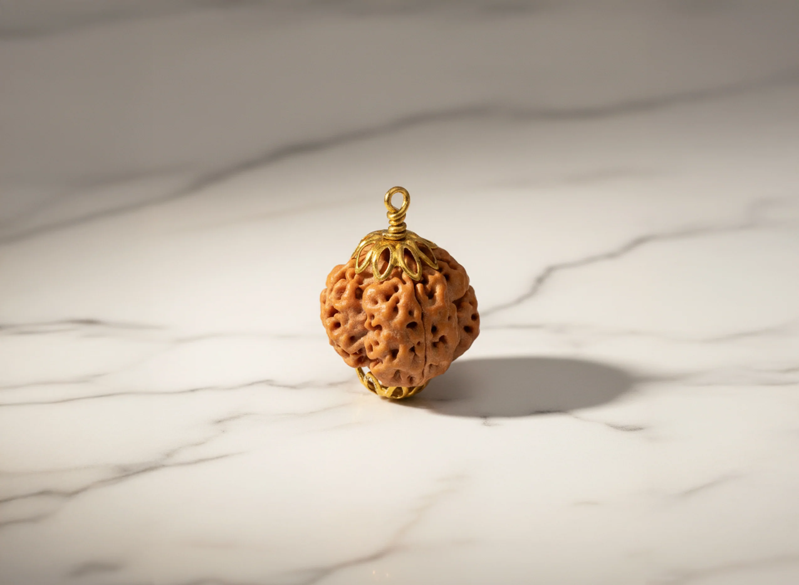 4 Mukhi Rudraksha (Nepali) - Image 4