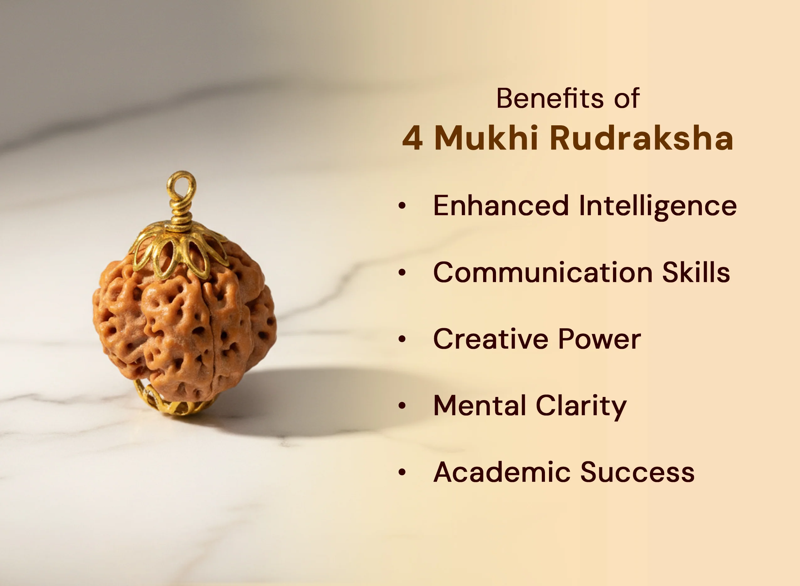 4 Mukhi Rudraksha (Nepali) - Image 5