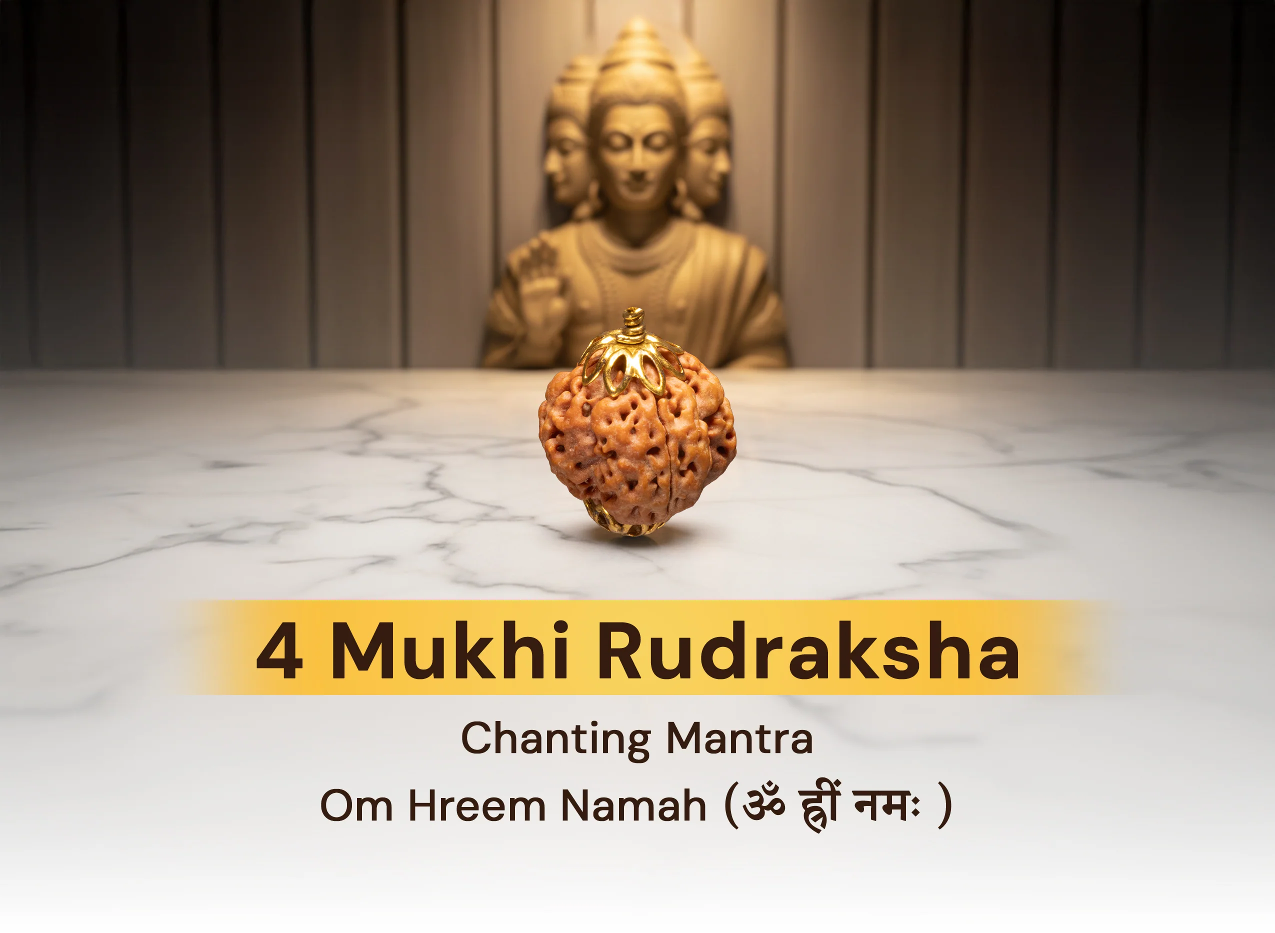 4 Mukhi Rudraksha (Nepali) - Image 7
