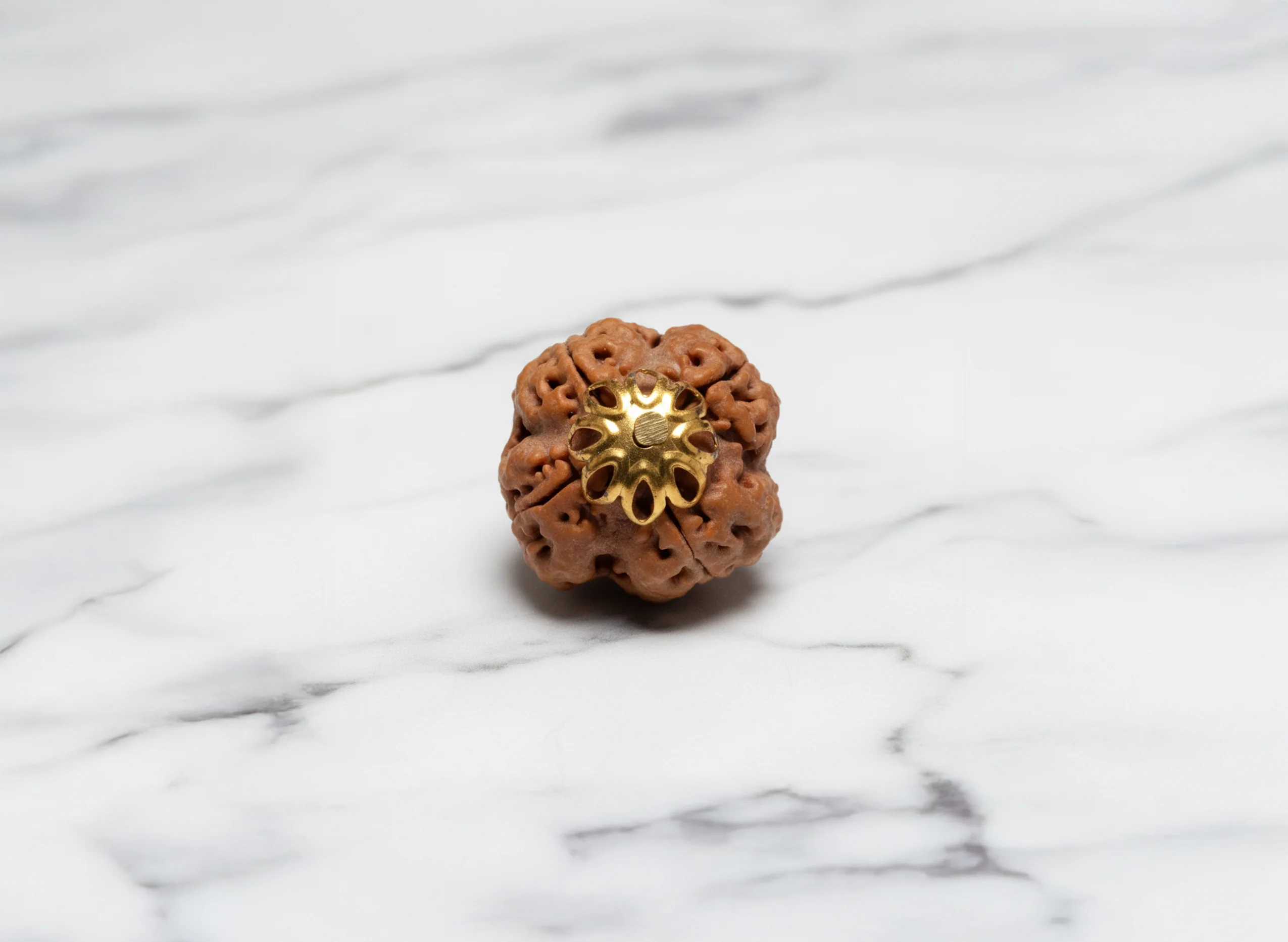 4 Mukhi Rudraksha (Nepali) - Image 8