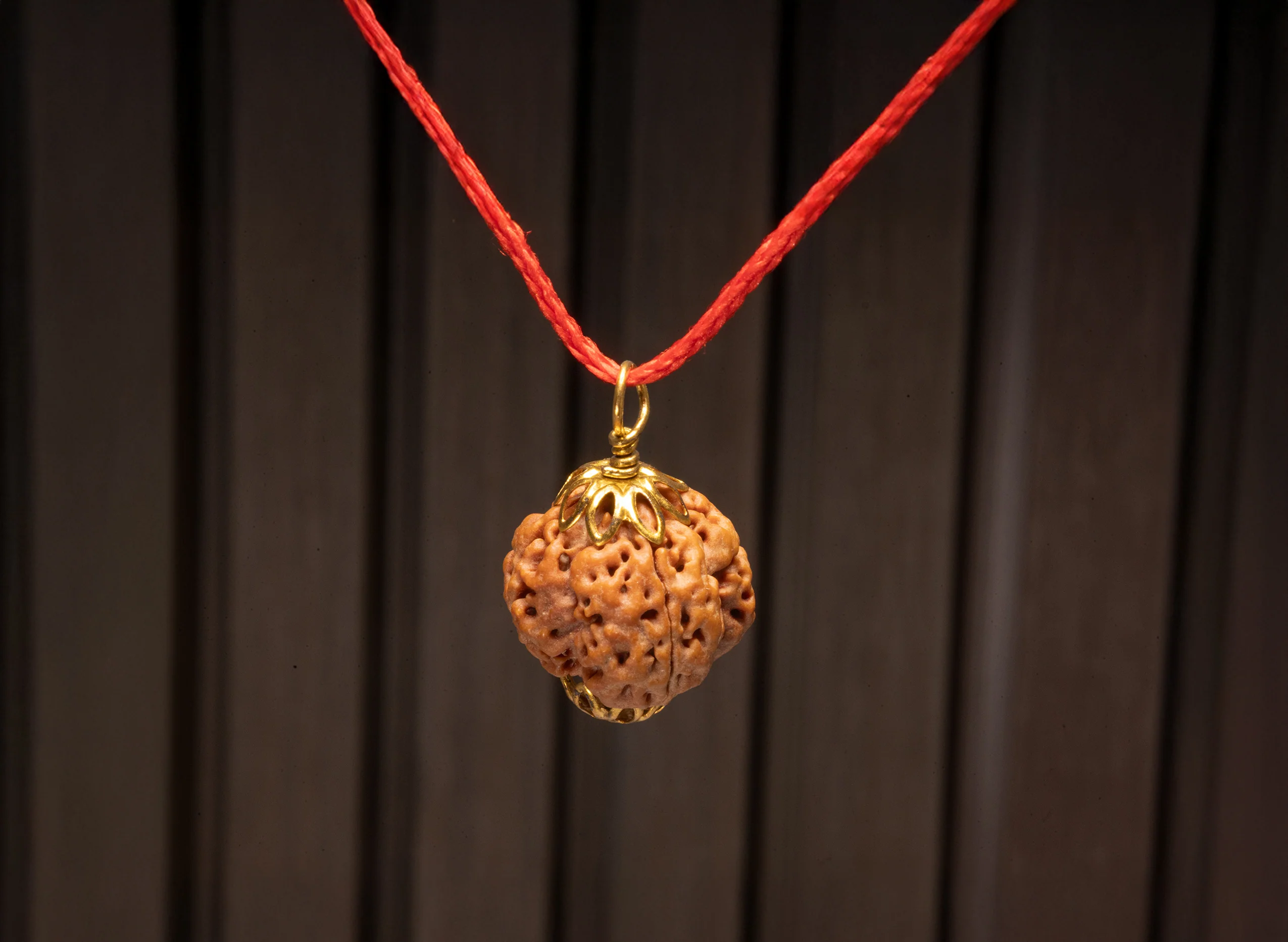 4 Mukhi Rudraksha (Nepali) - Image 9