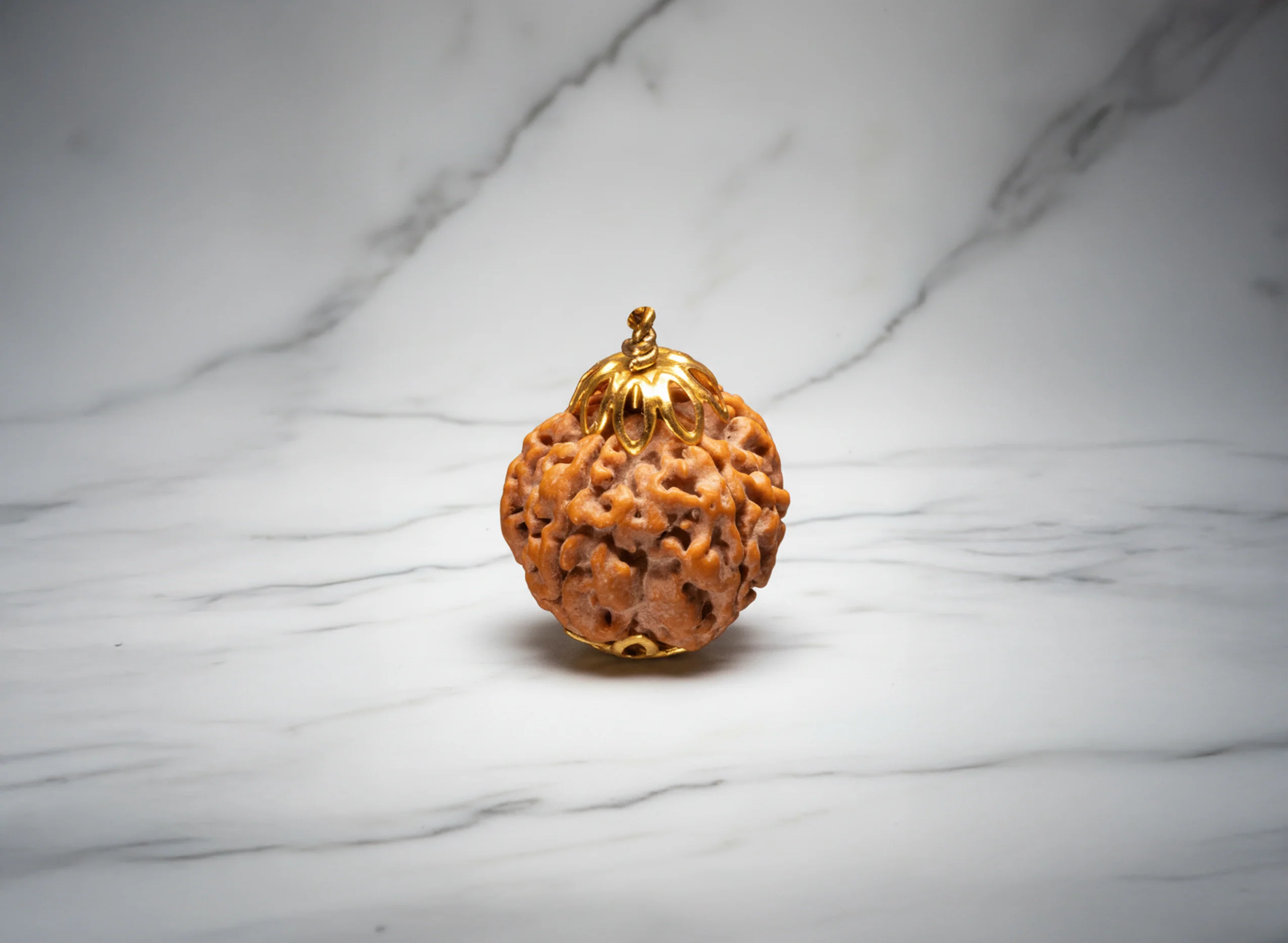 5 Mukhi Rudraksha (Nepali) - Image 6