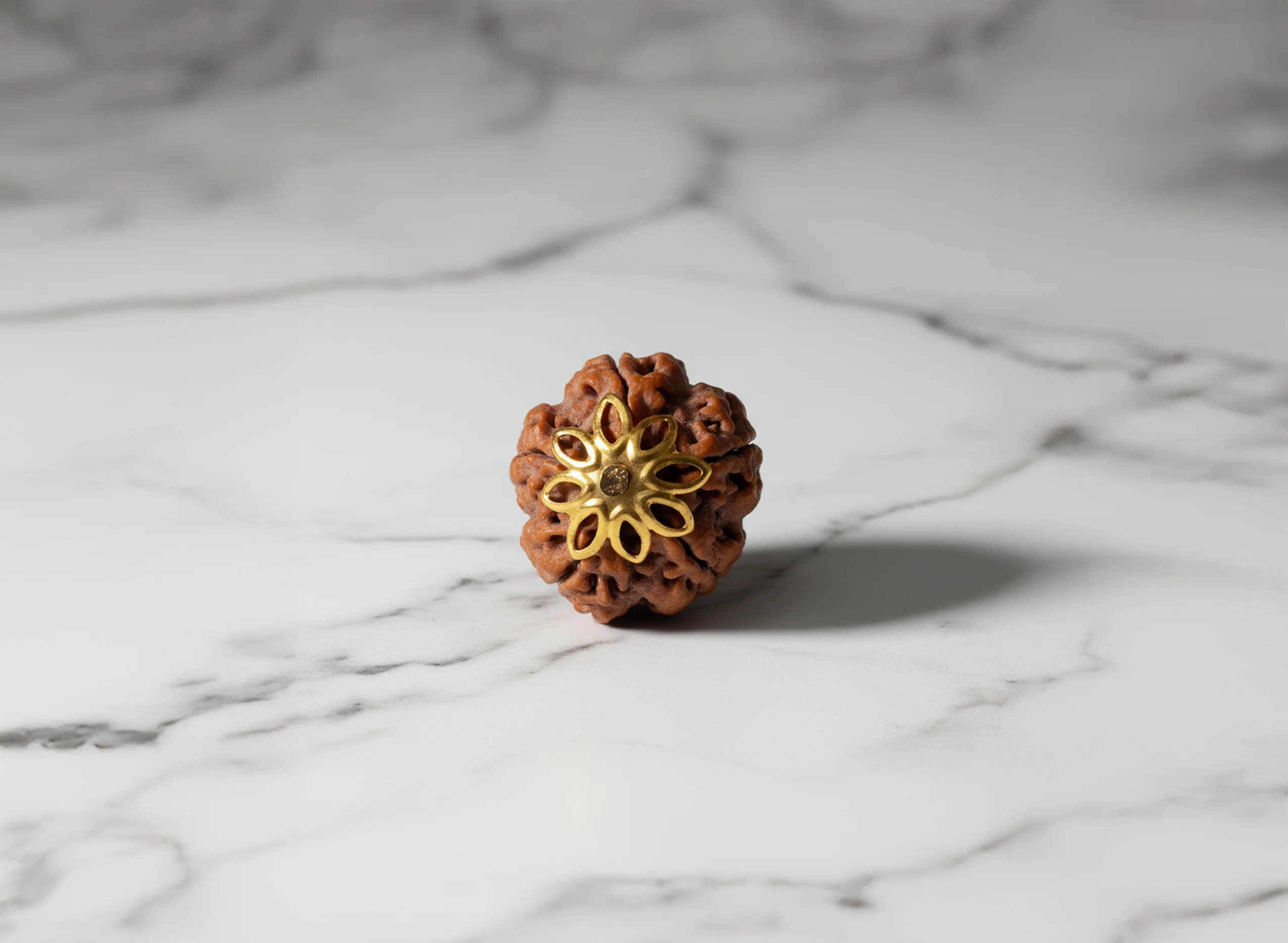 5 Mukhi Rudraksha (Nepali) - Image 7
