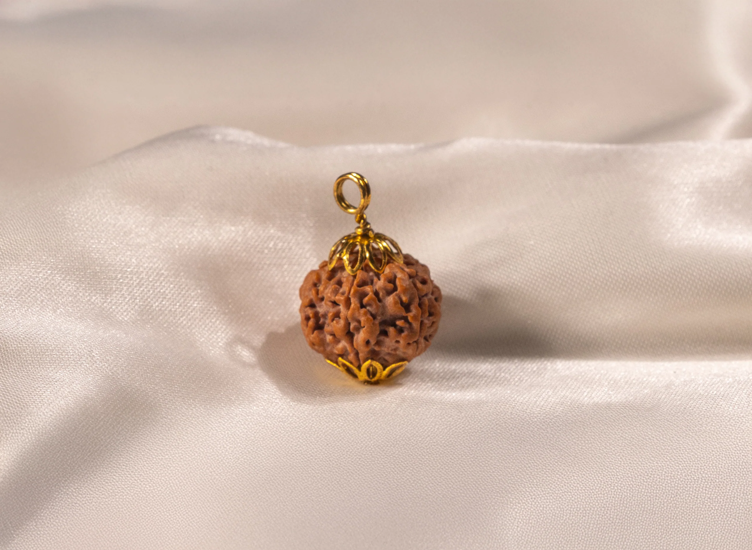 5 Mukhi Rudraksha (Nepali) - Image 8