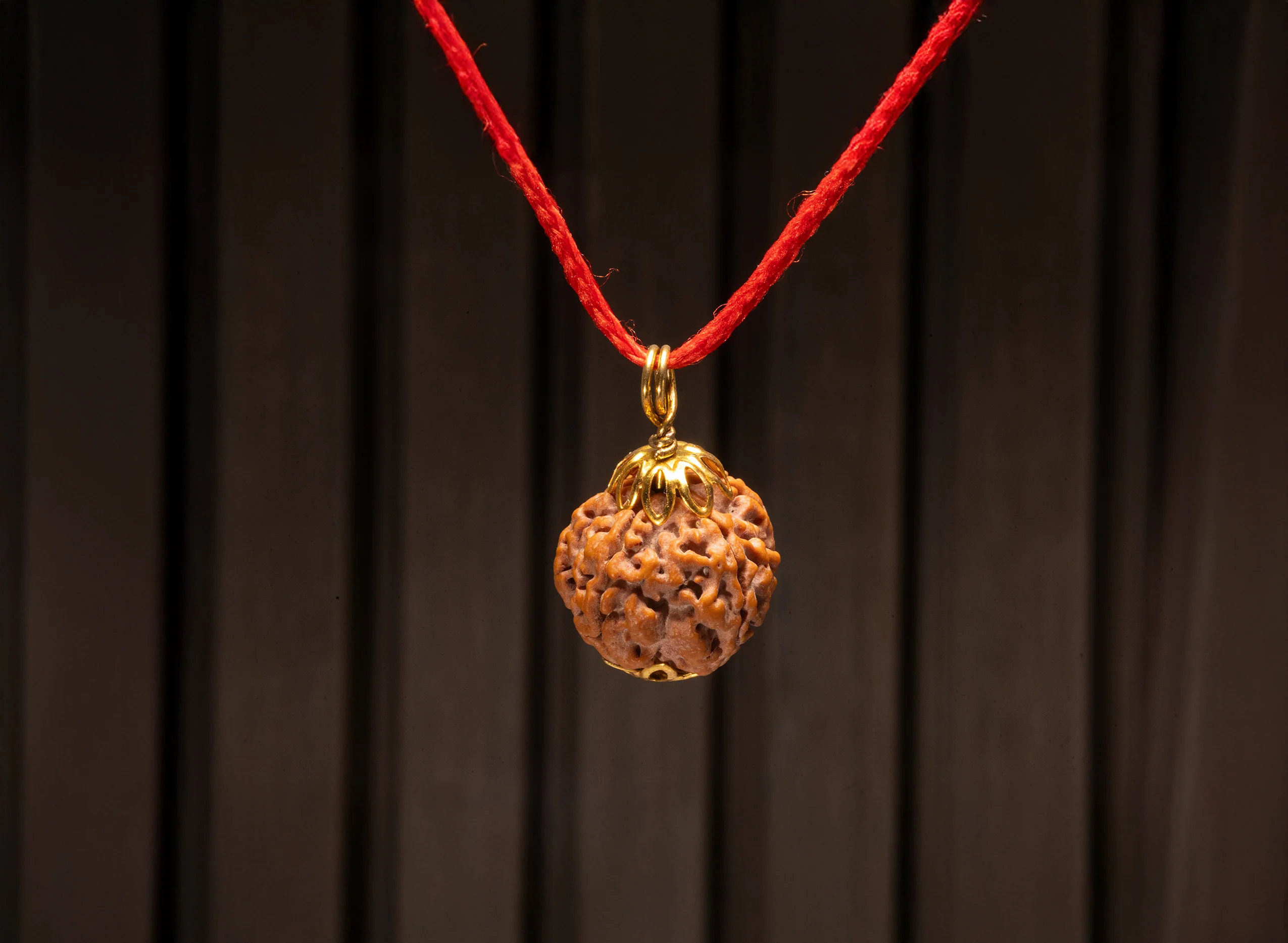 5 Mukhi Rudraksha (Nepali) - Image 9