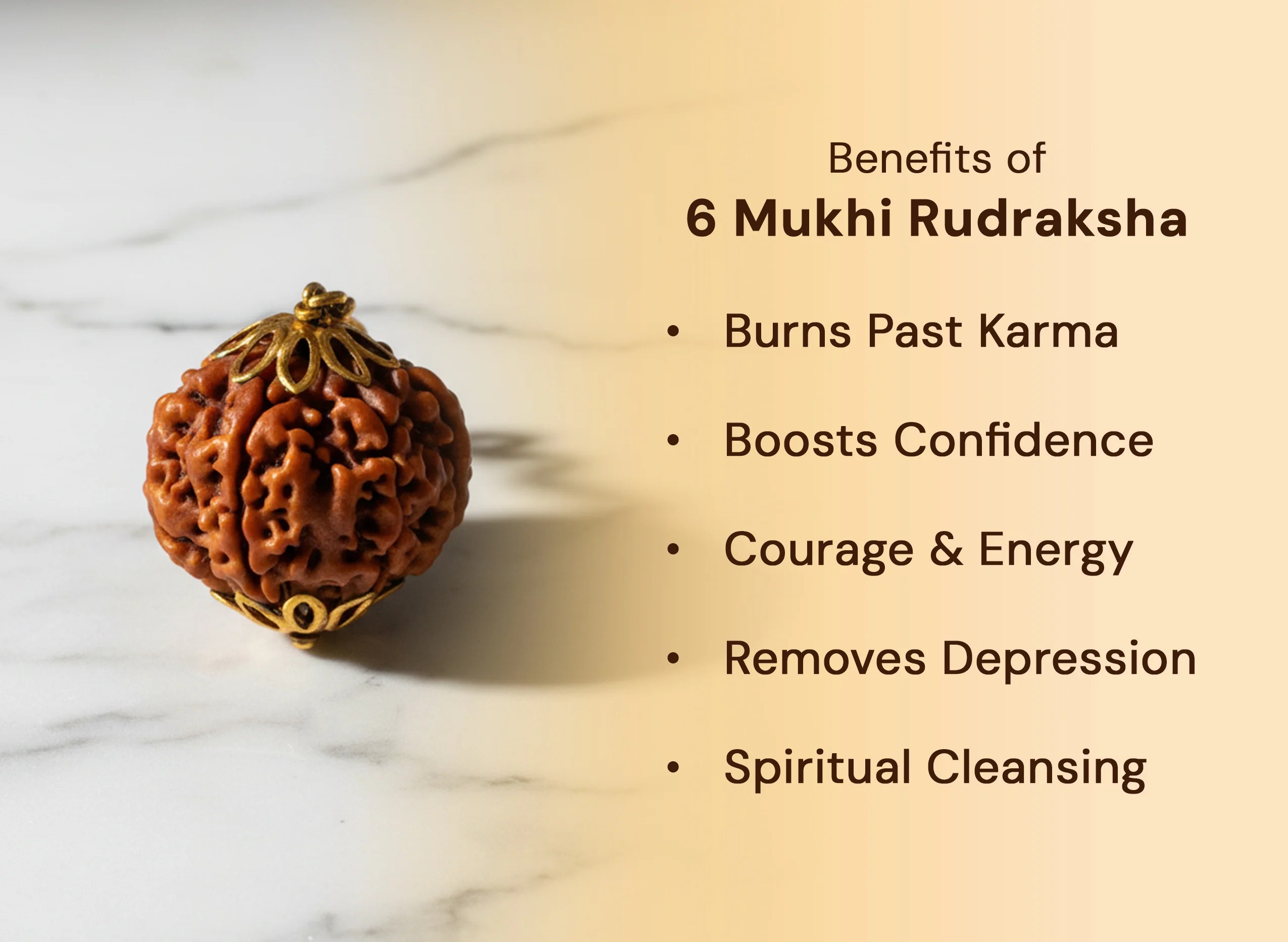6 Mukhi Rudraksha (Nepali) - Image 4