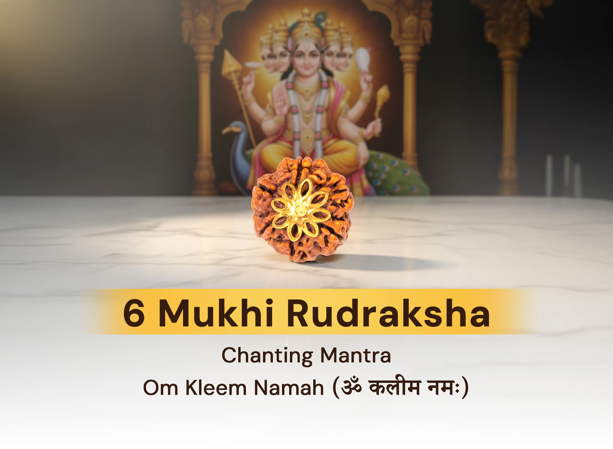 6 Mukhi Rudraksha (Nepali) - Image 5