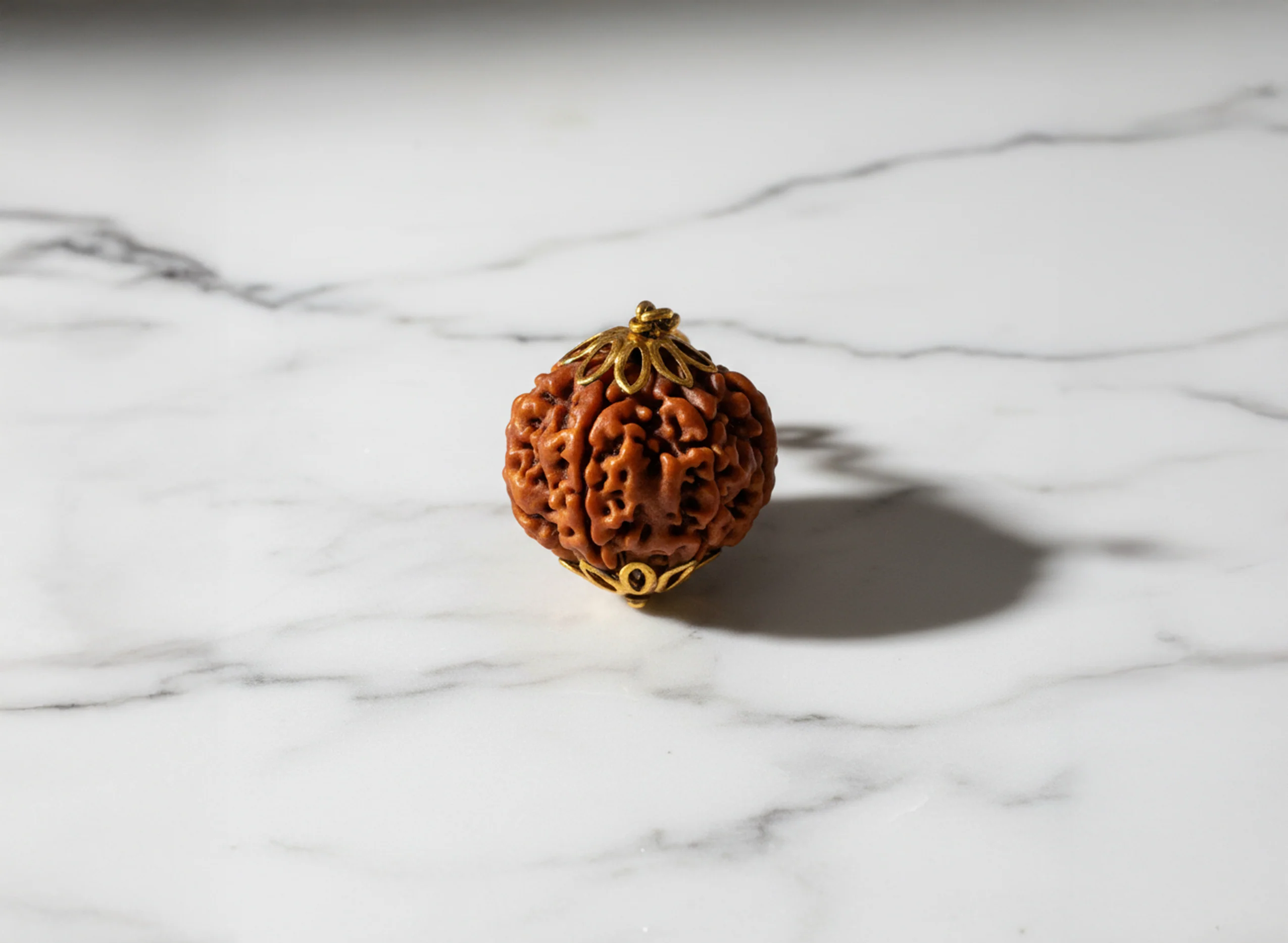 6 Mukhi Rudraksha (Nepali) - Image 6