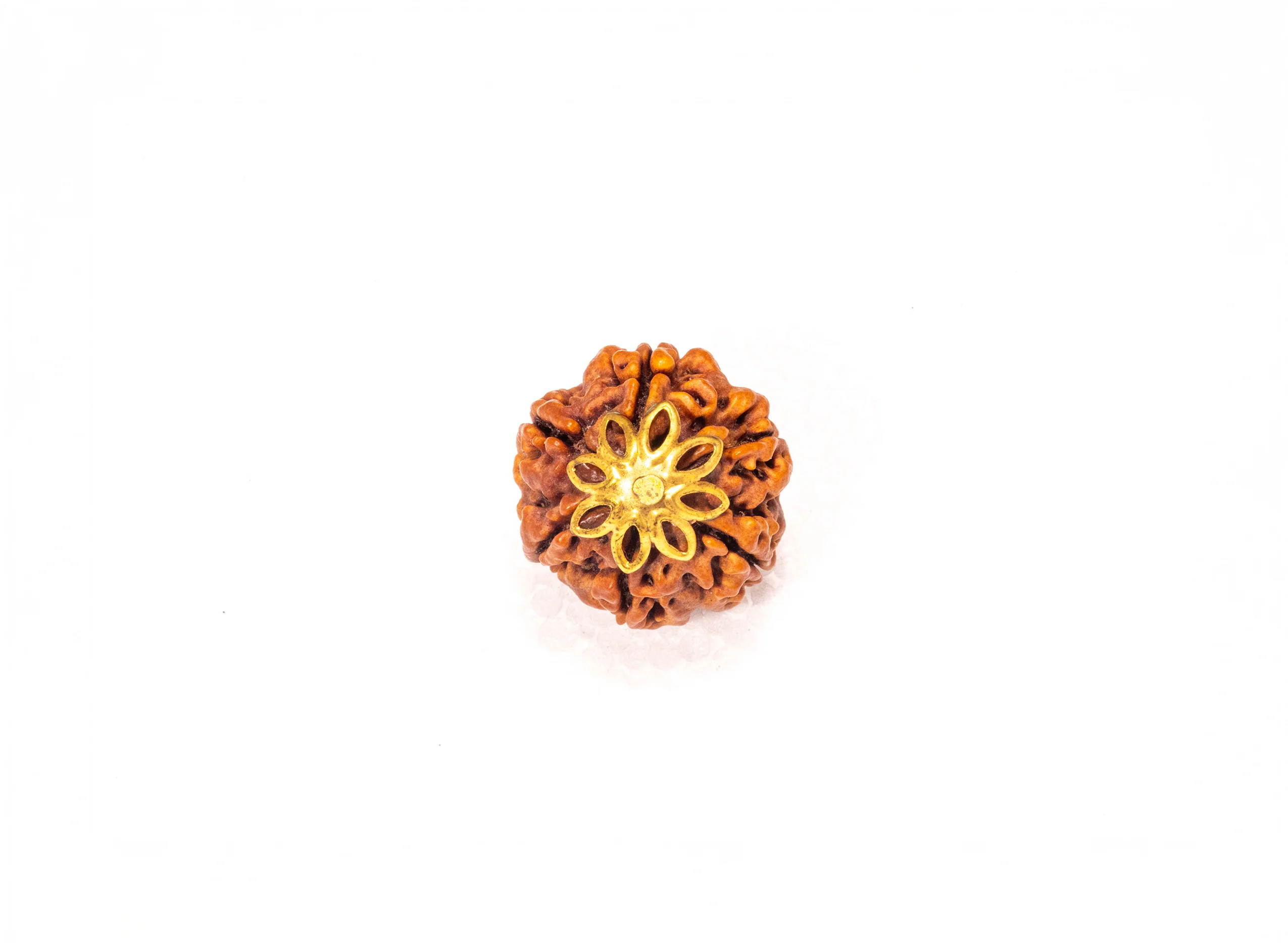 6 Mukhi Rudraksha (Nepali) - Image 7