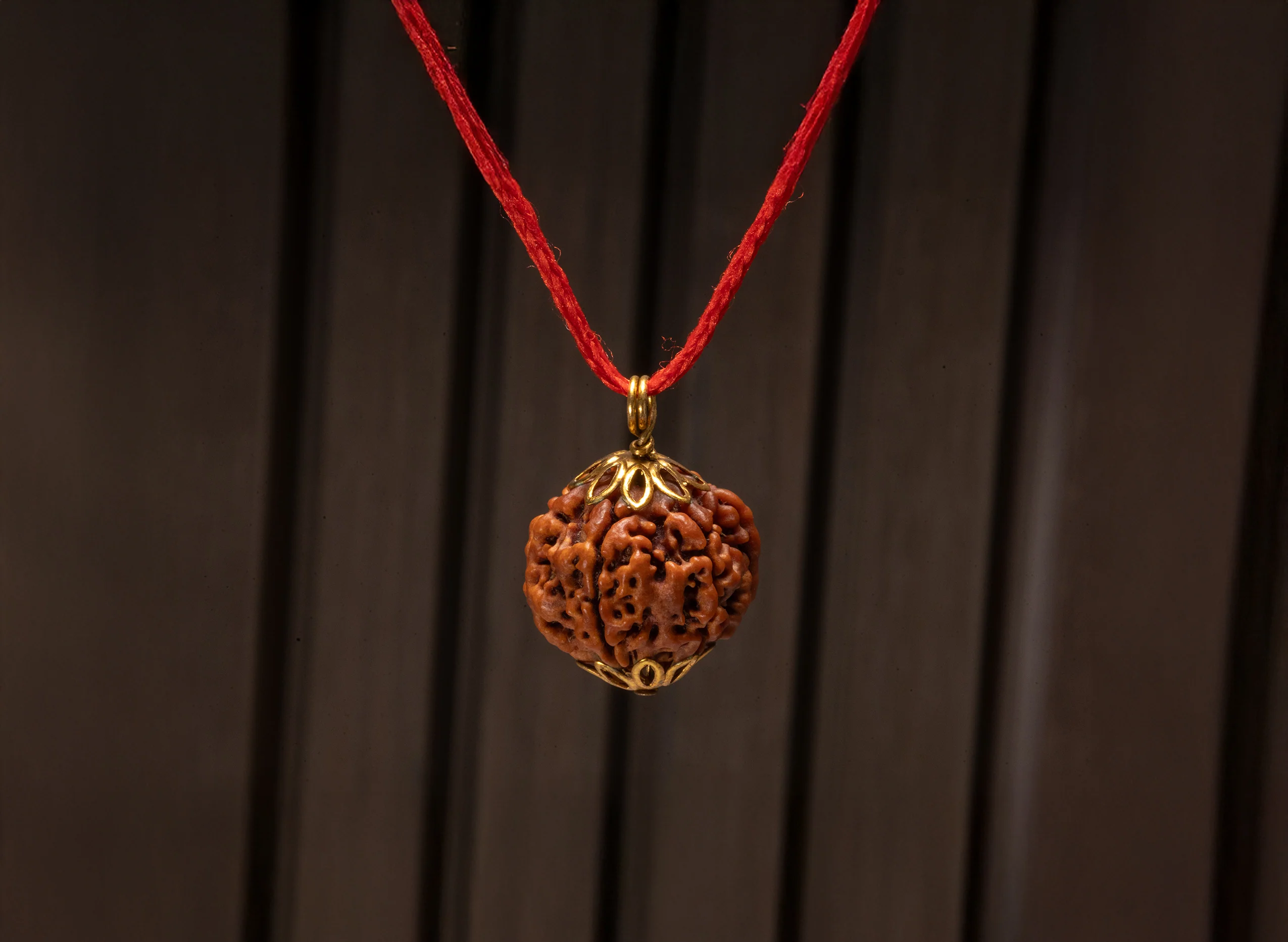 6 Mukhi Rudraksha (Nepali) - Image 8
