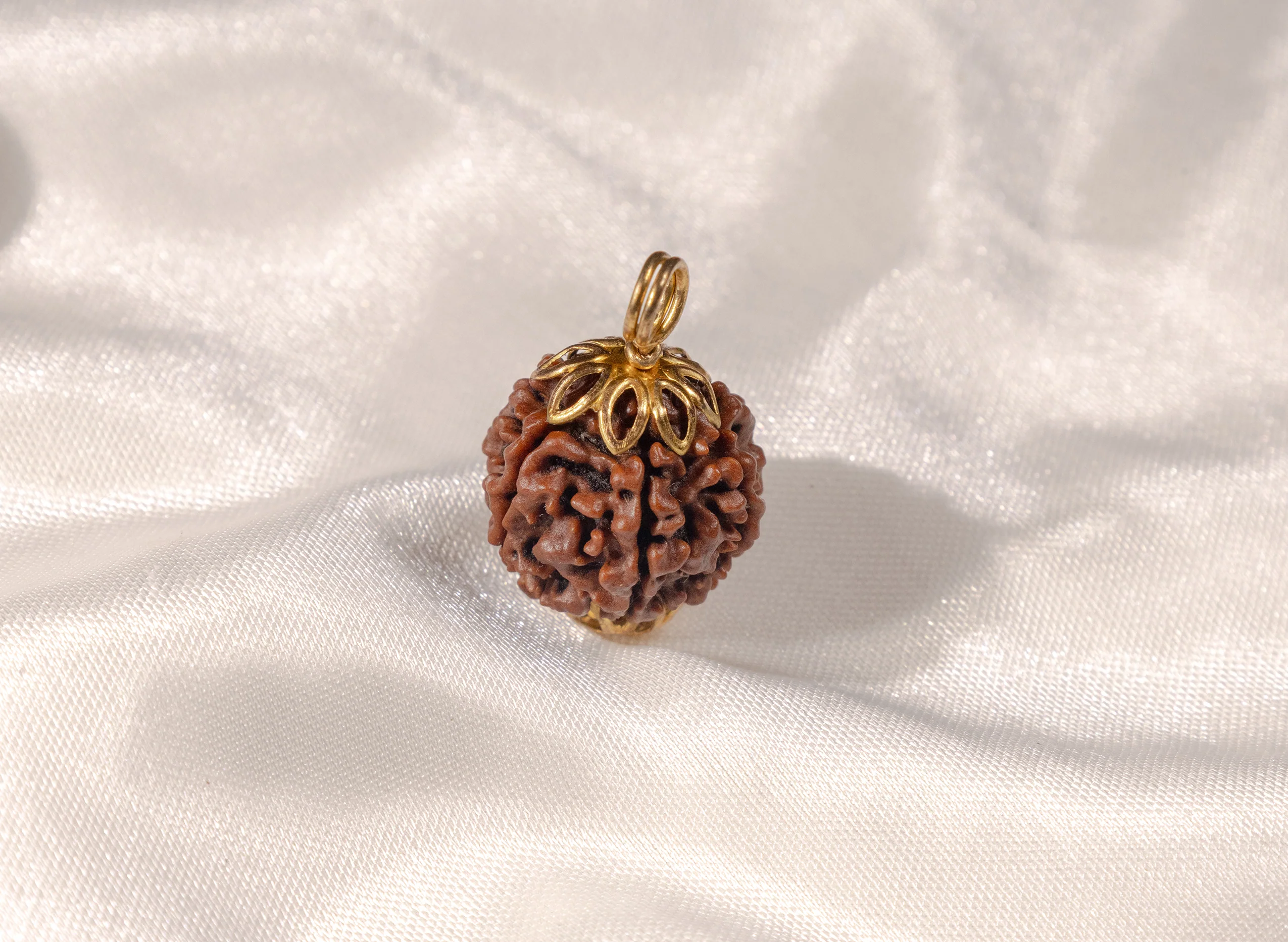 7 Mukhi Rudraksha (Nepali) - Image 10