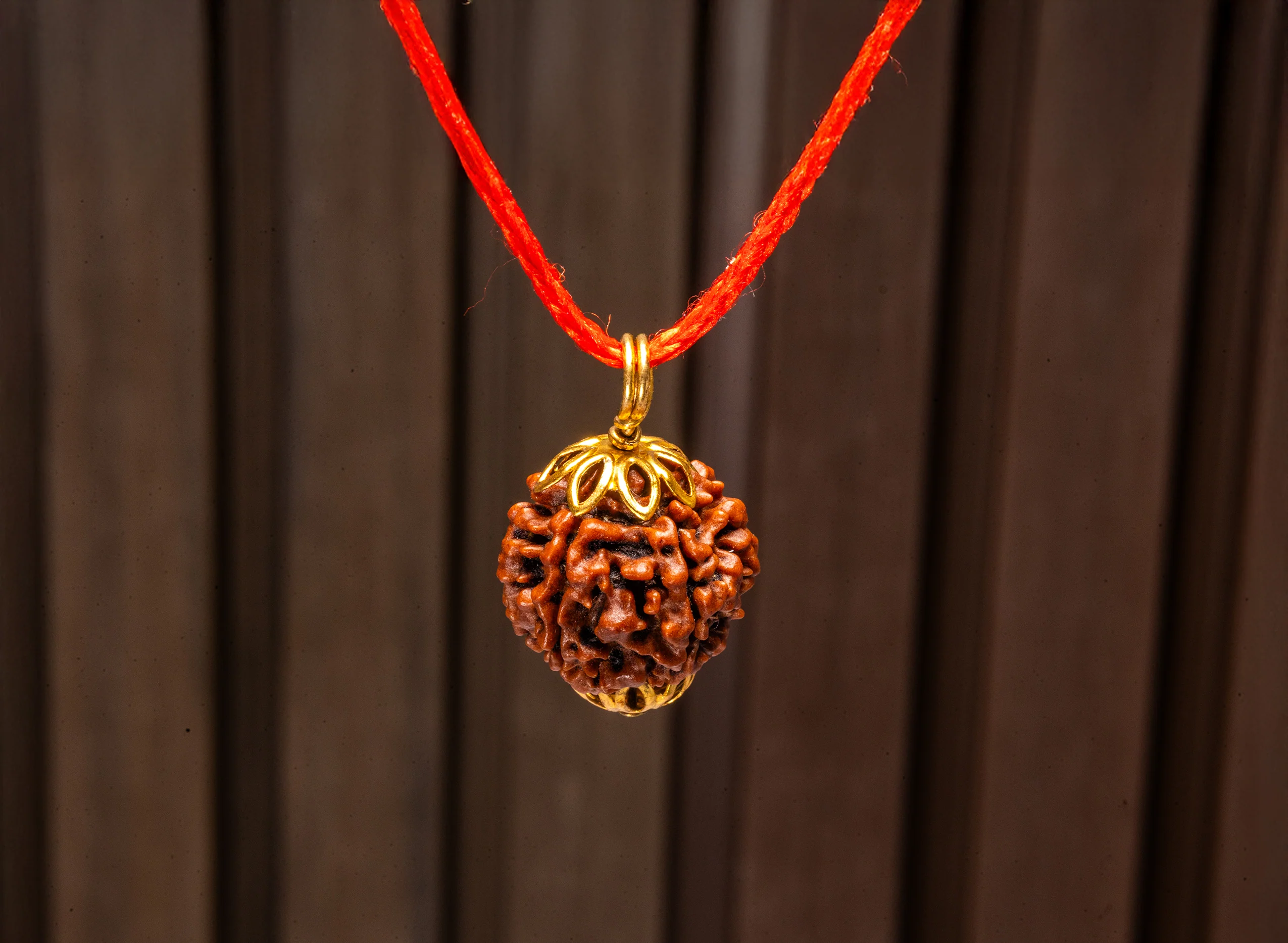 7 Mukhi Rudraksha (Nepali) - Image 11