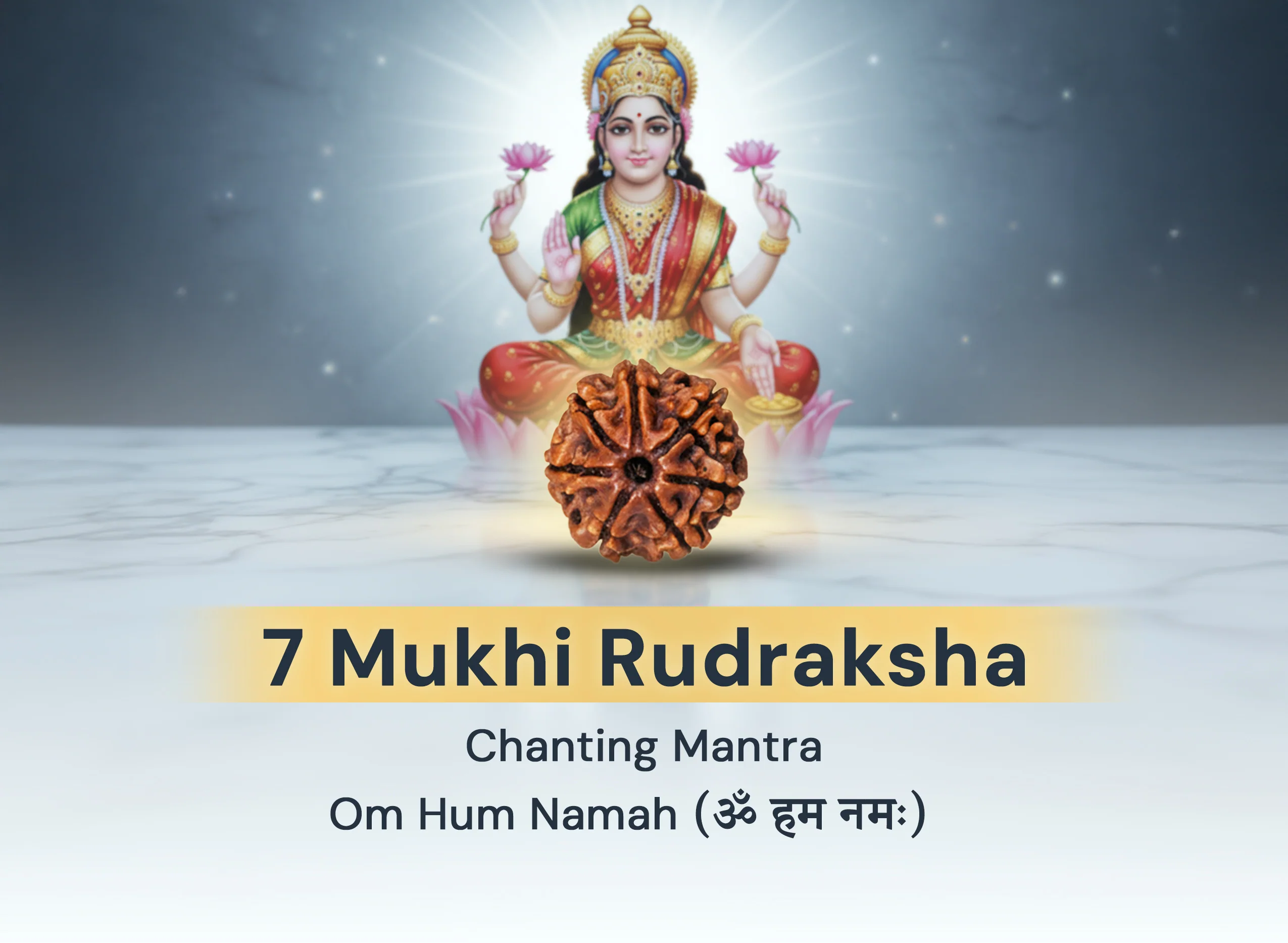 7 Mukhi Rudraksha (Nepali) - Image 6