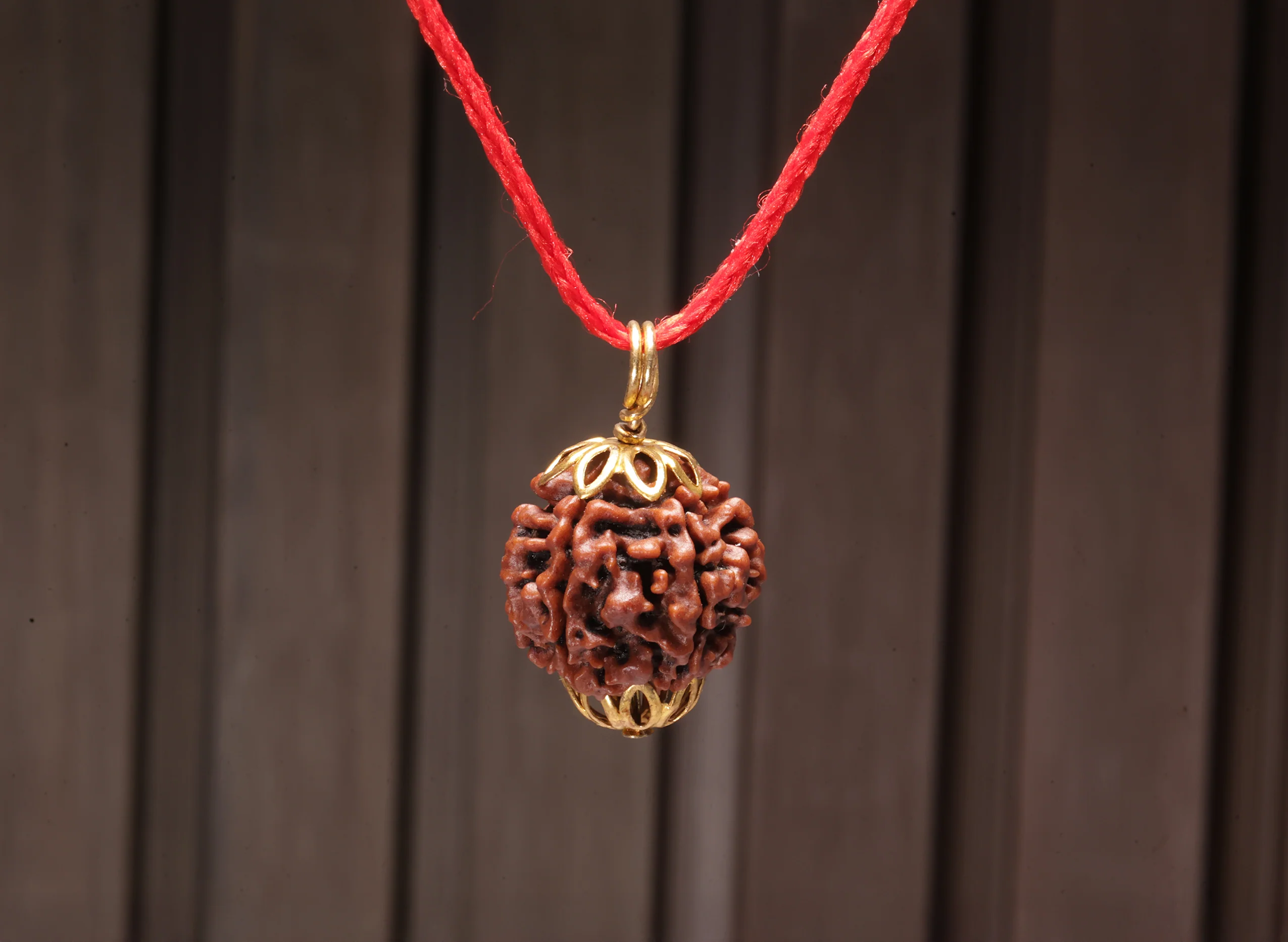 7 Mukhi Rudraksha (Nepali) - Image 7