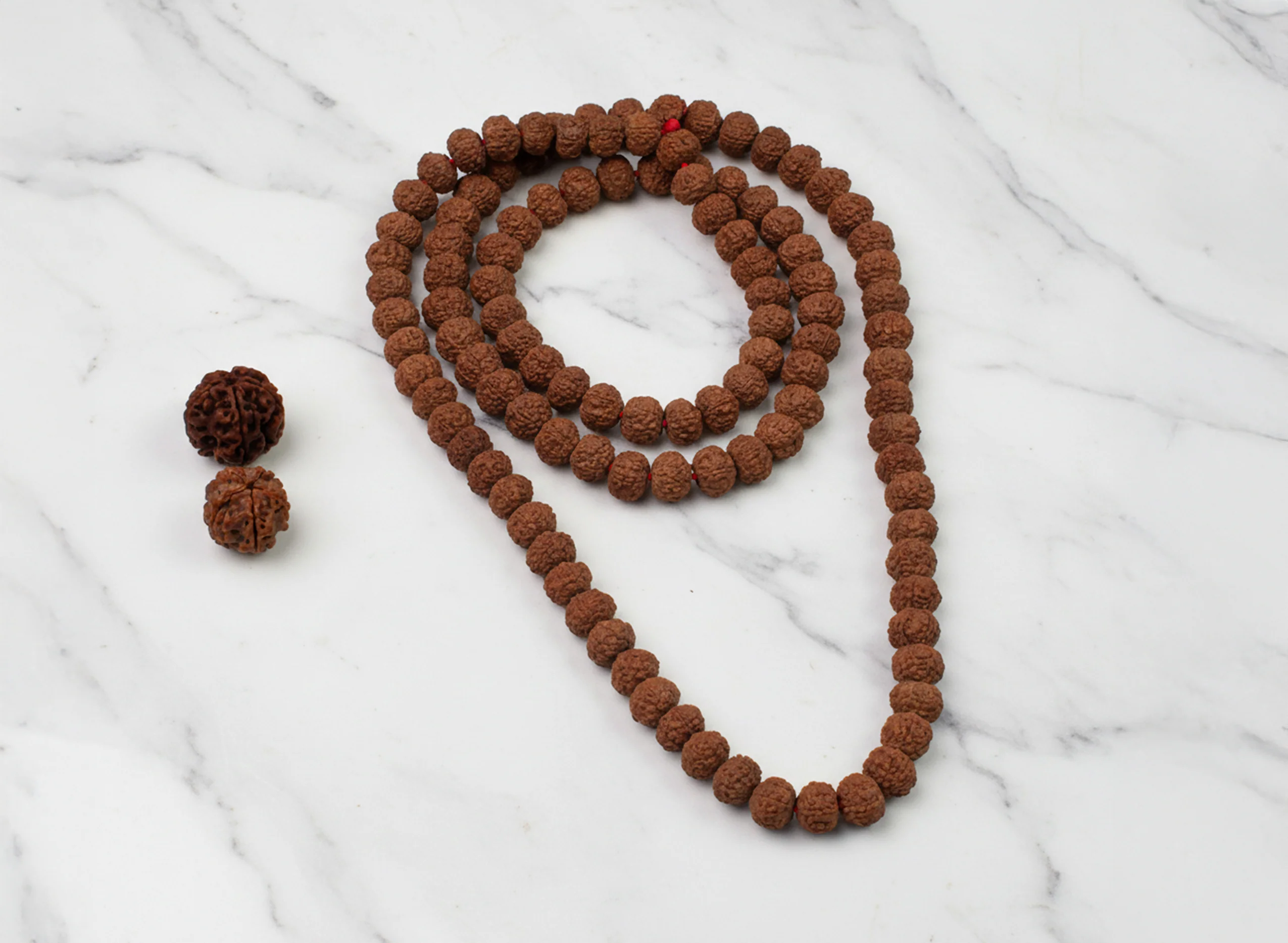 7 Mukhi Rudraksha Mala (108 Beads) - Image 5
