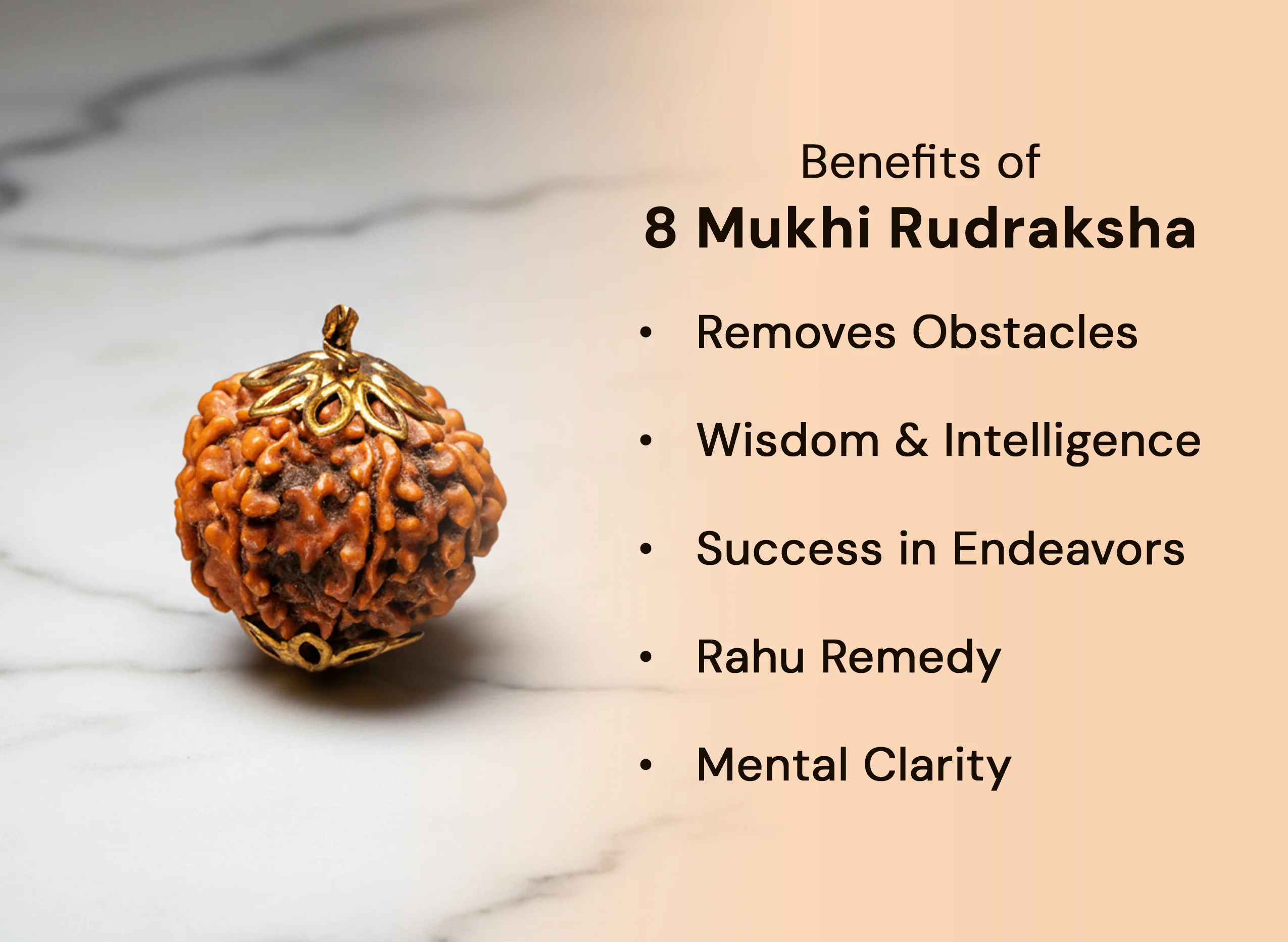 8 Mukhi Rudraksha (Nepali) - Image 3