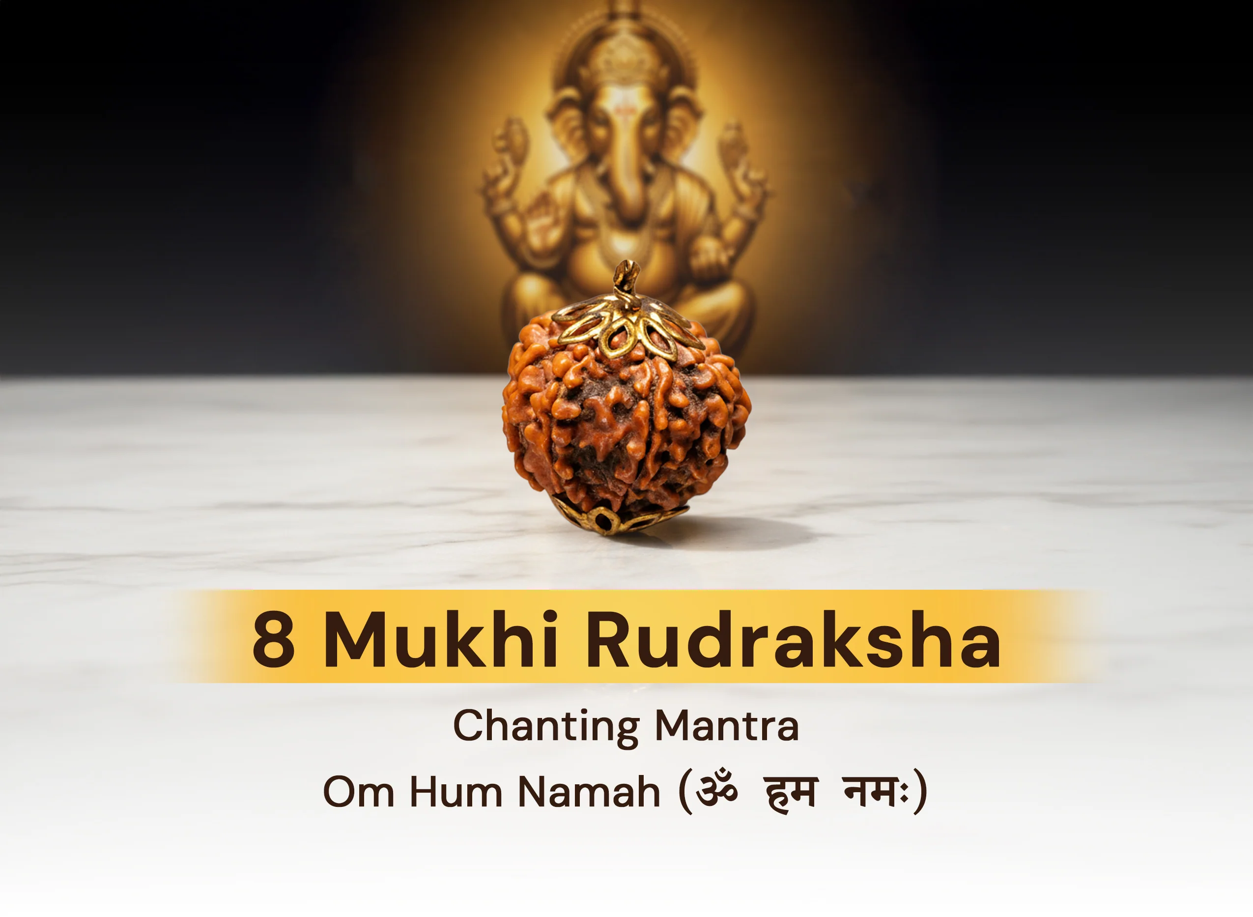 8 Mukhi Rudraksha (Nepali) - Image 4