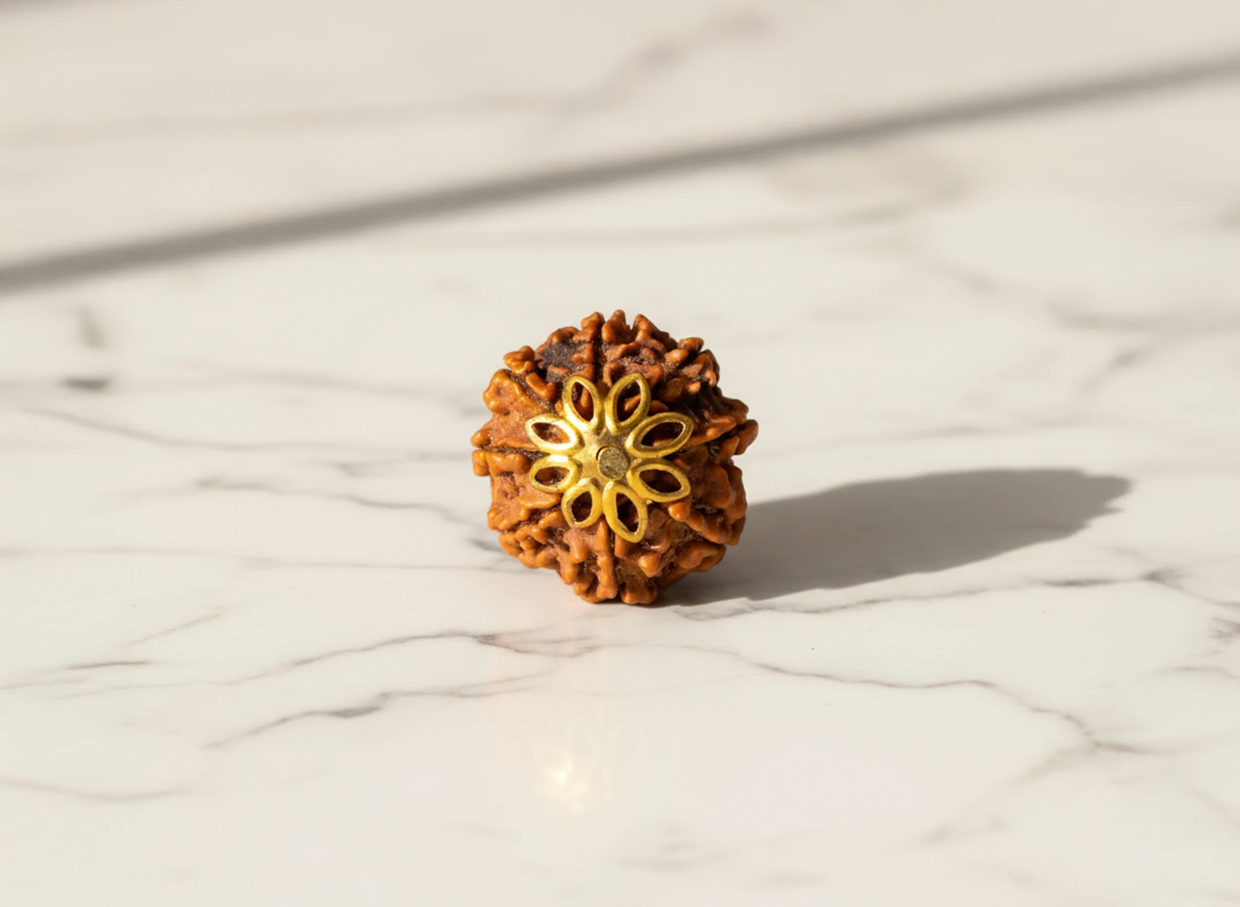 8 Mukhi Rudraksha (Nepali) - Image 5