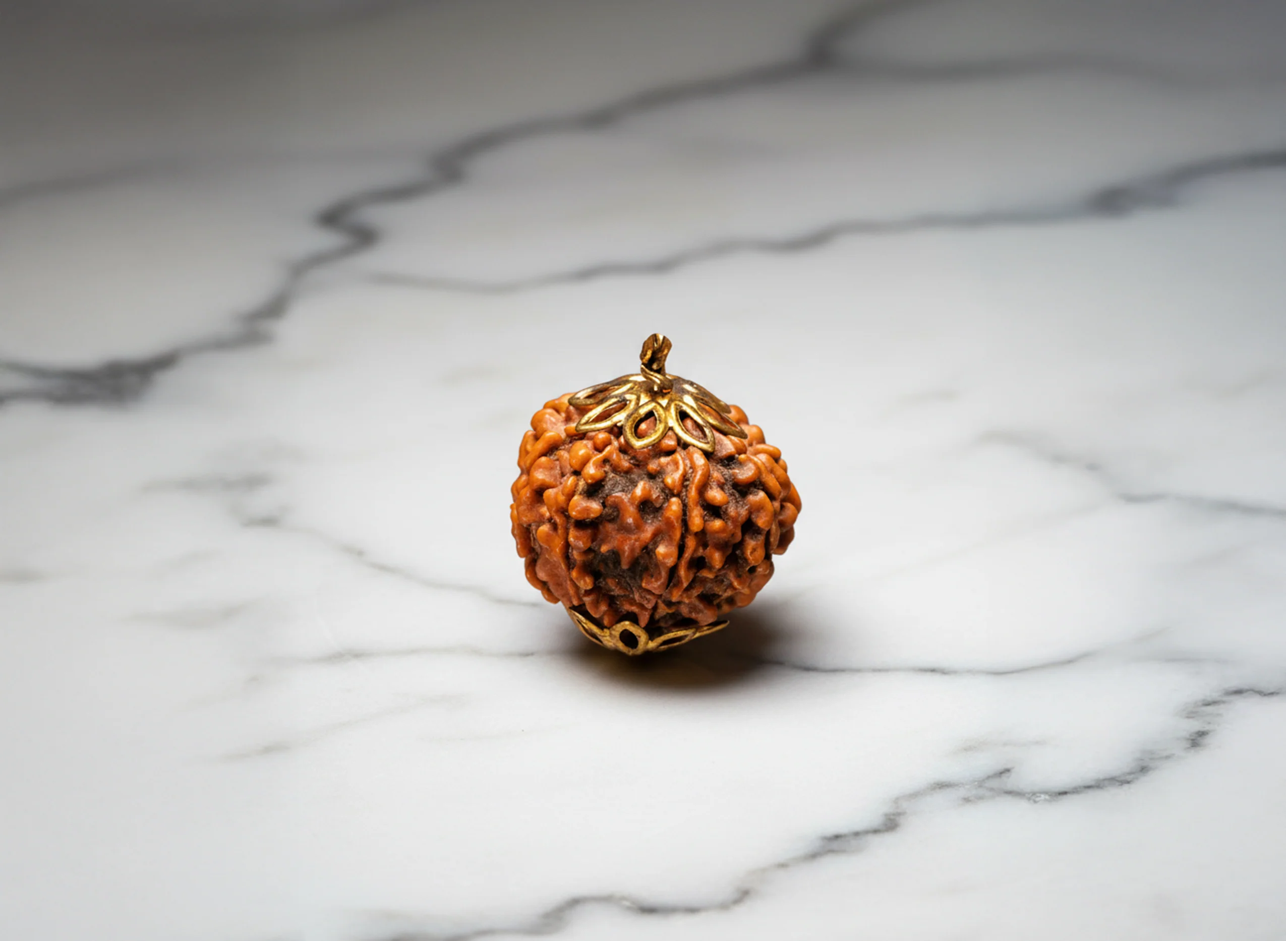 8 Mukhi Rudraksha (Nepali) - Image 6