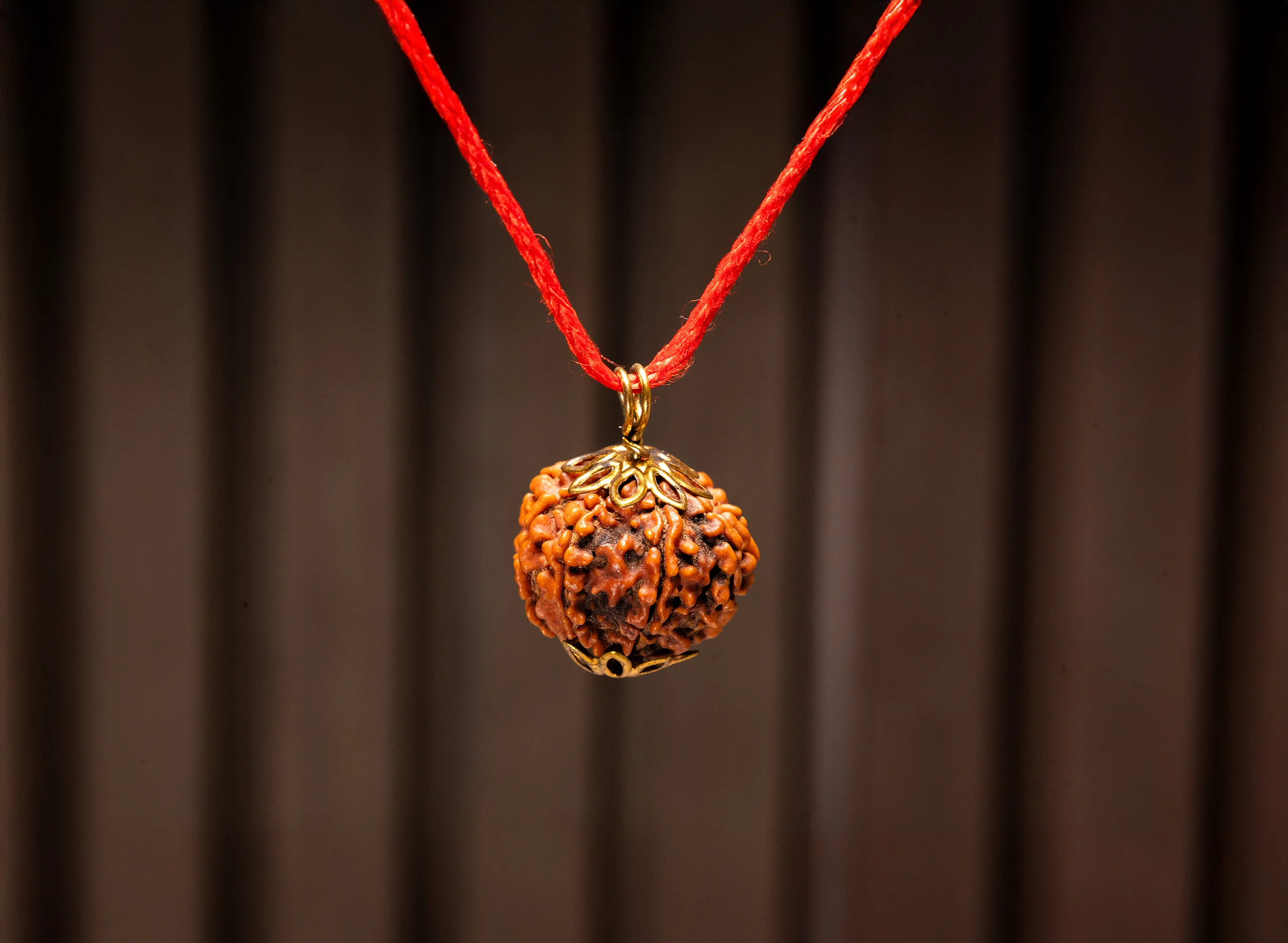 8 Mukhi Rudraksha (Nepali) - Image 9
