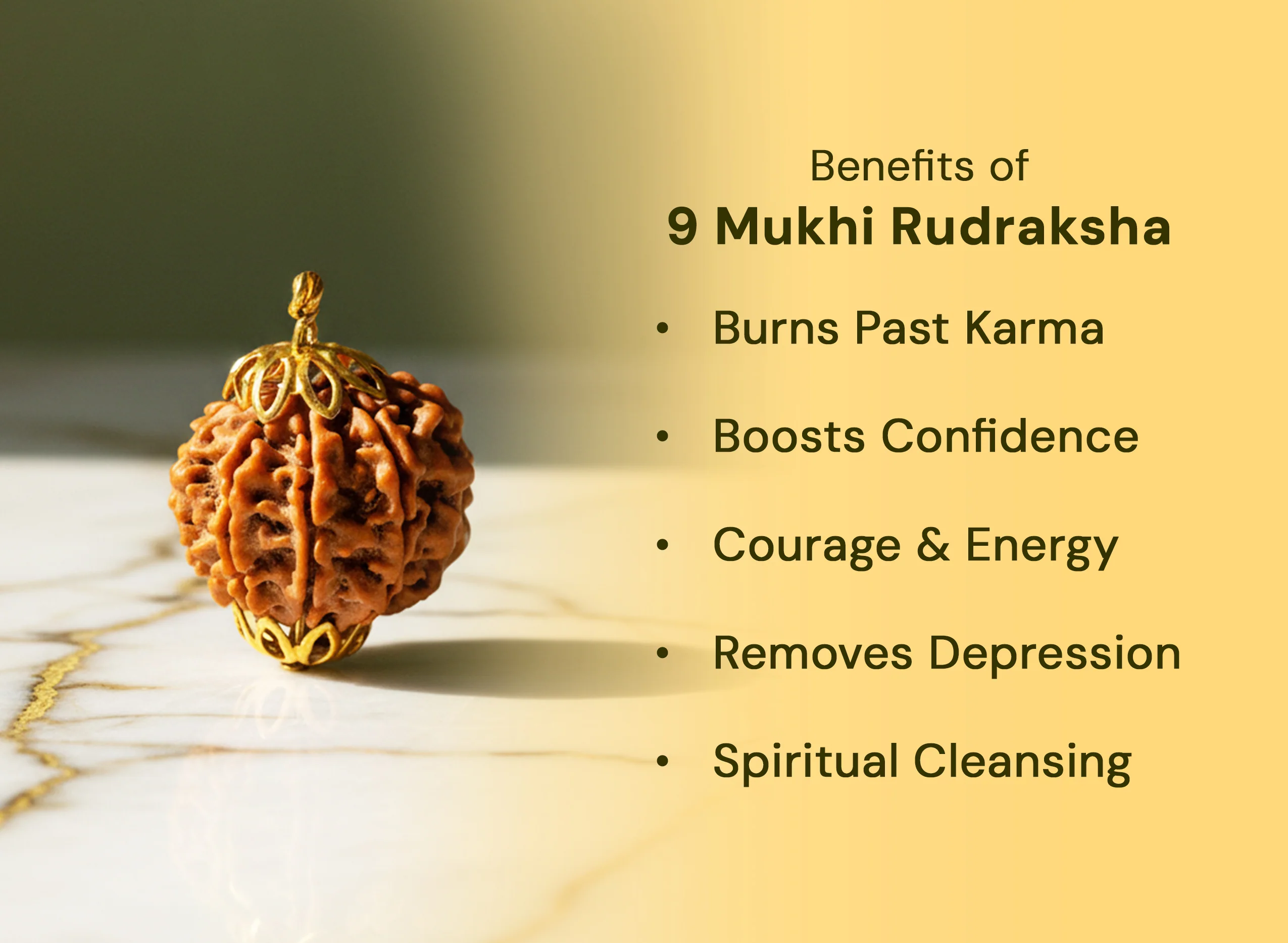 9 Mukhi Rudraksha (Nepali) - Image 2